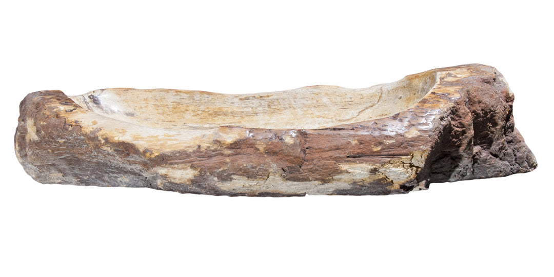 Natural Petrified Wood Bathroom Sink - 30 to 36 Inch Vanity Top with Unique Fossilized Patterns | Perfect for Rustic, Farmhouse & Luxury Bathroom Decor