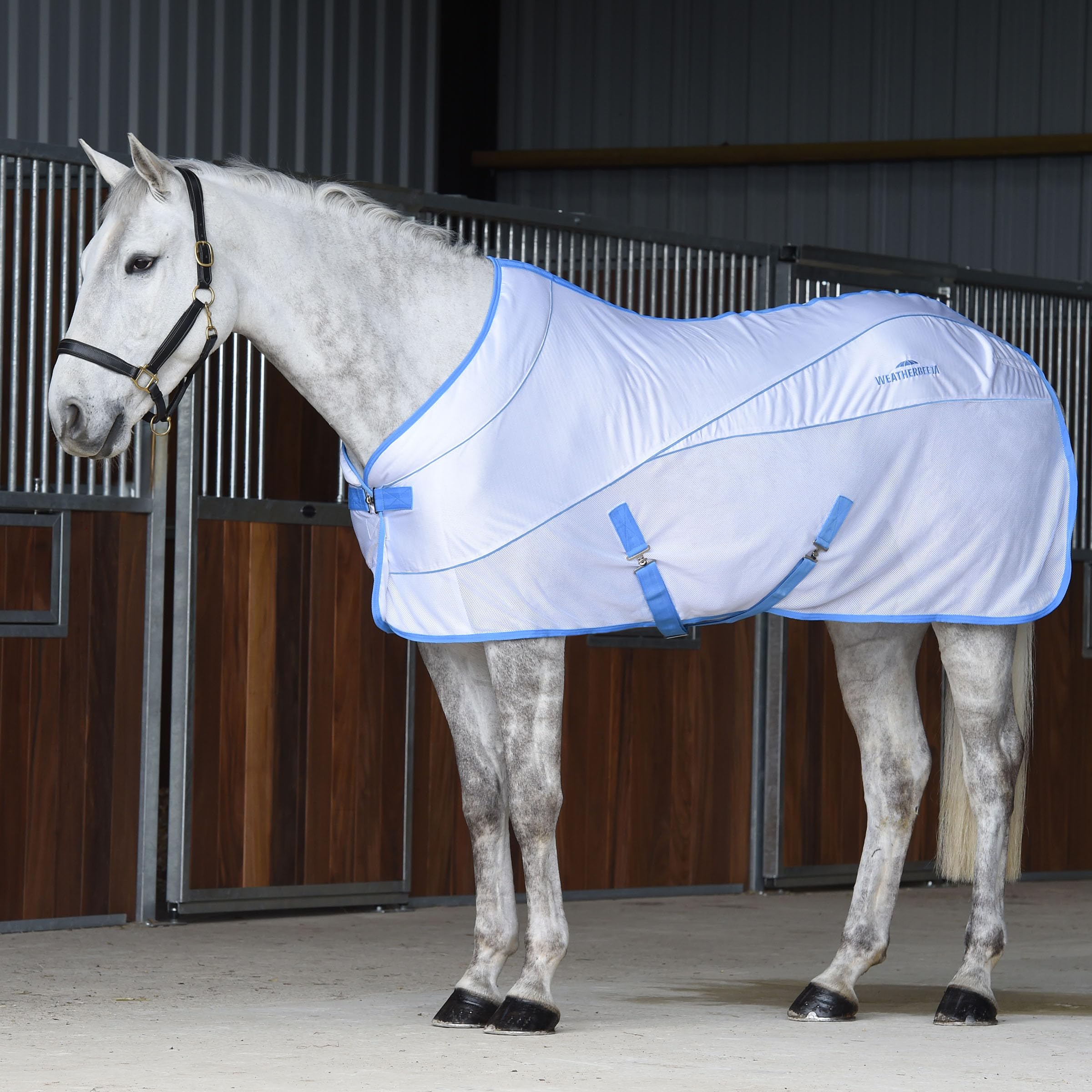 WeatherBeeta Air-Tec Cooler Standard Neck Horse Blanket - Breathable Summer Sheet, White & Blue, 72 Inch - Ideal for Hot Weather Riding and Turnout