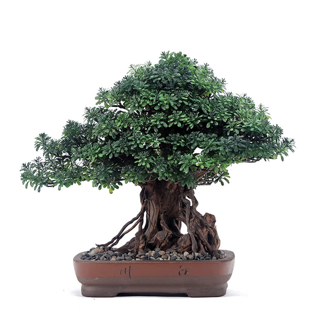 TOMYEUS Artificial Bonsai Tree - Realistic Fake Pine Plant in Pot for Home, Office, Garden & Porch Decor - 23.6 x 19.69 Inch Lifelike Indoor/Outdoor Decoration - Perfect for Zen Decor, Feng Shui, Desk Decor & Gift Giving