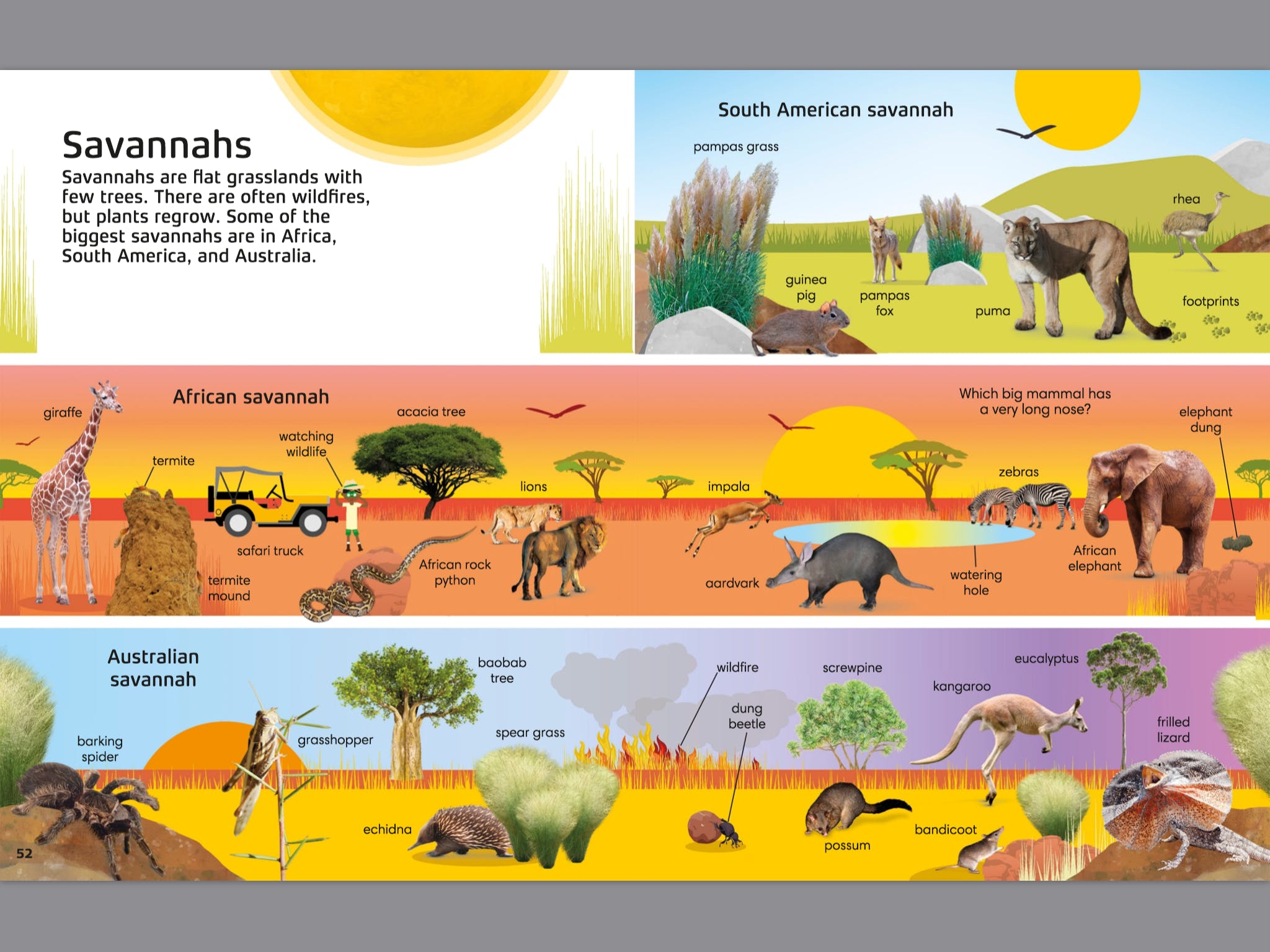1000 Nature Words Book - Build Vocabulary & Literacy Skills for Kids - Perfect for Homeschooling & Classroom Learning