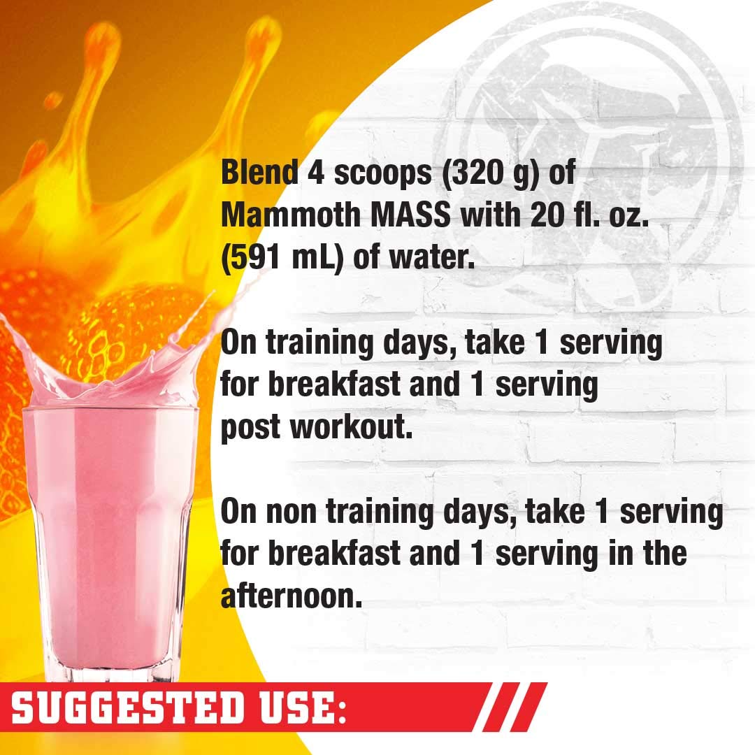Mammoth Mass Weight Gainer Protein Powder - High Calorie Muscle Building Shake with Whey Isolate & Casein Blend, Low Sugar Meal Replacement for Bodybuilding & Workout Recovery (Strawberry Flavor, 5lb) - Perfect for Post-Workout Smoothies, Muscle Growth Nutrition & Healthy Weight Gain
