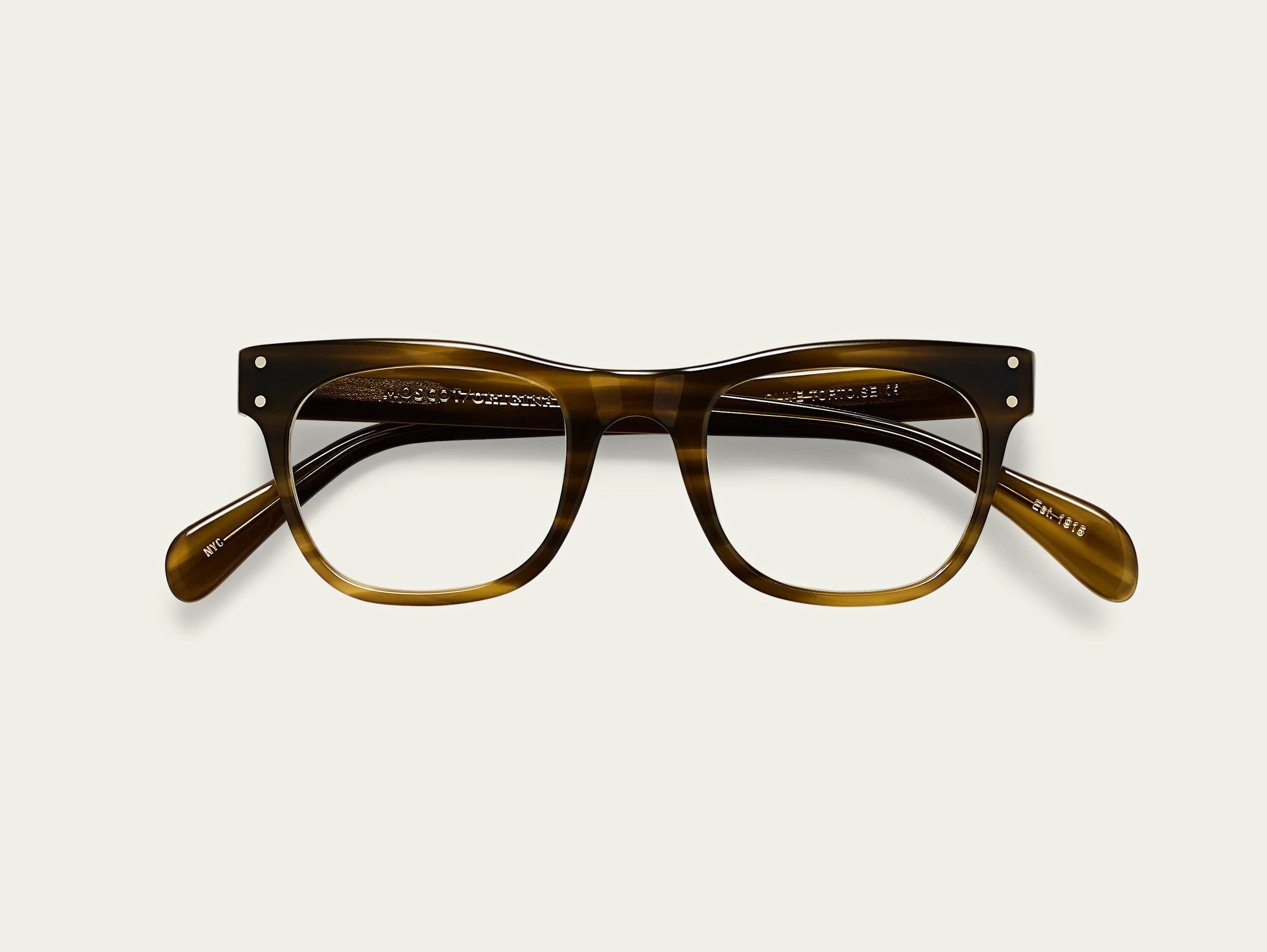 Olive Tortoise