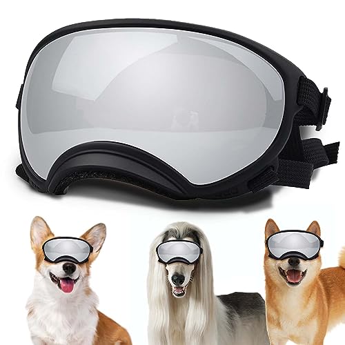 Black Frame&Silve Lens-Small