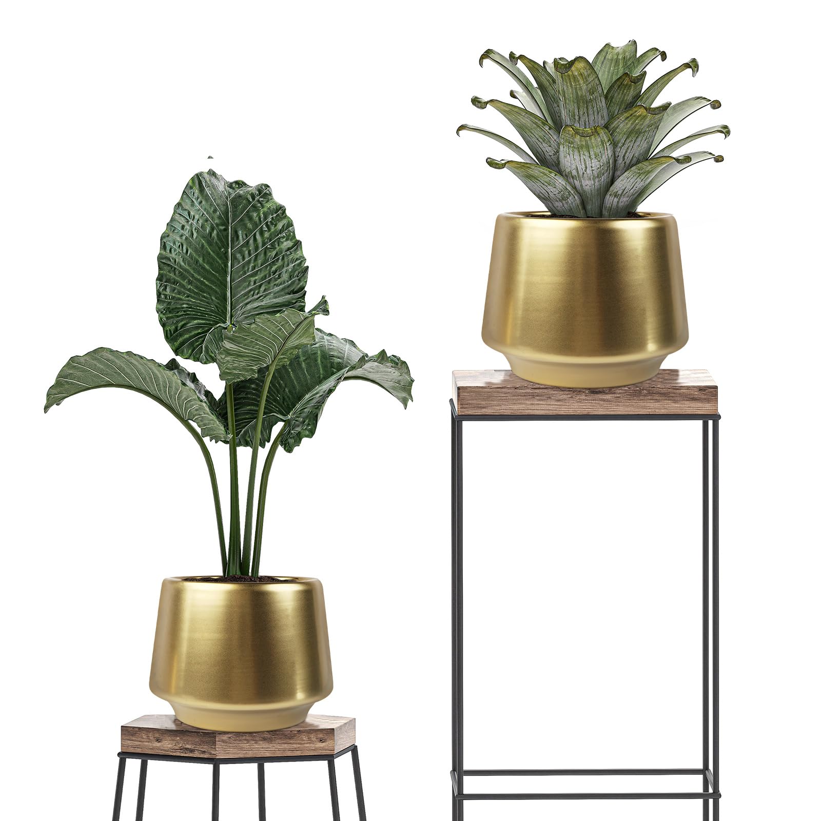 6 Inch Gold Planter Flower Pots - Decorative Indoor Succulent Plant Containers in Brass Finish (5.9