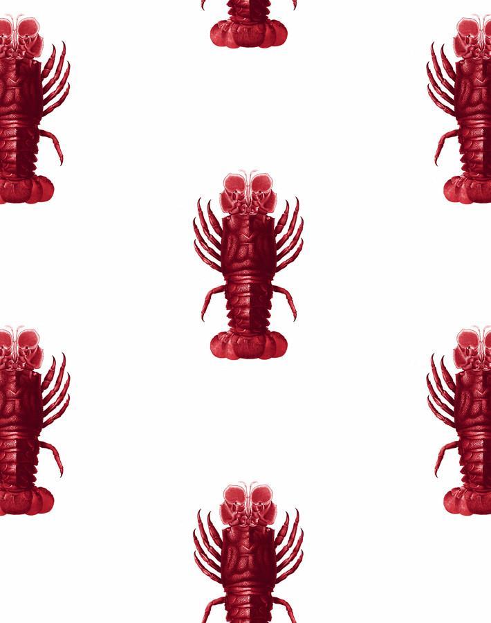 Jack The Crustacean Wallpaper by Wallshoppe - Vibrant Red Crustacean-Themed Wallpaper for Coastal & Nautical Home Decor - Perfect for Beach Houses, Bathrooms & Coastal-Inspired Interiors