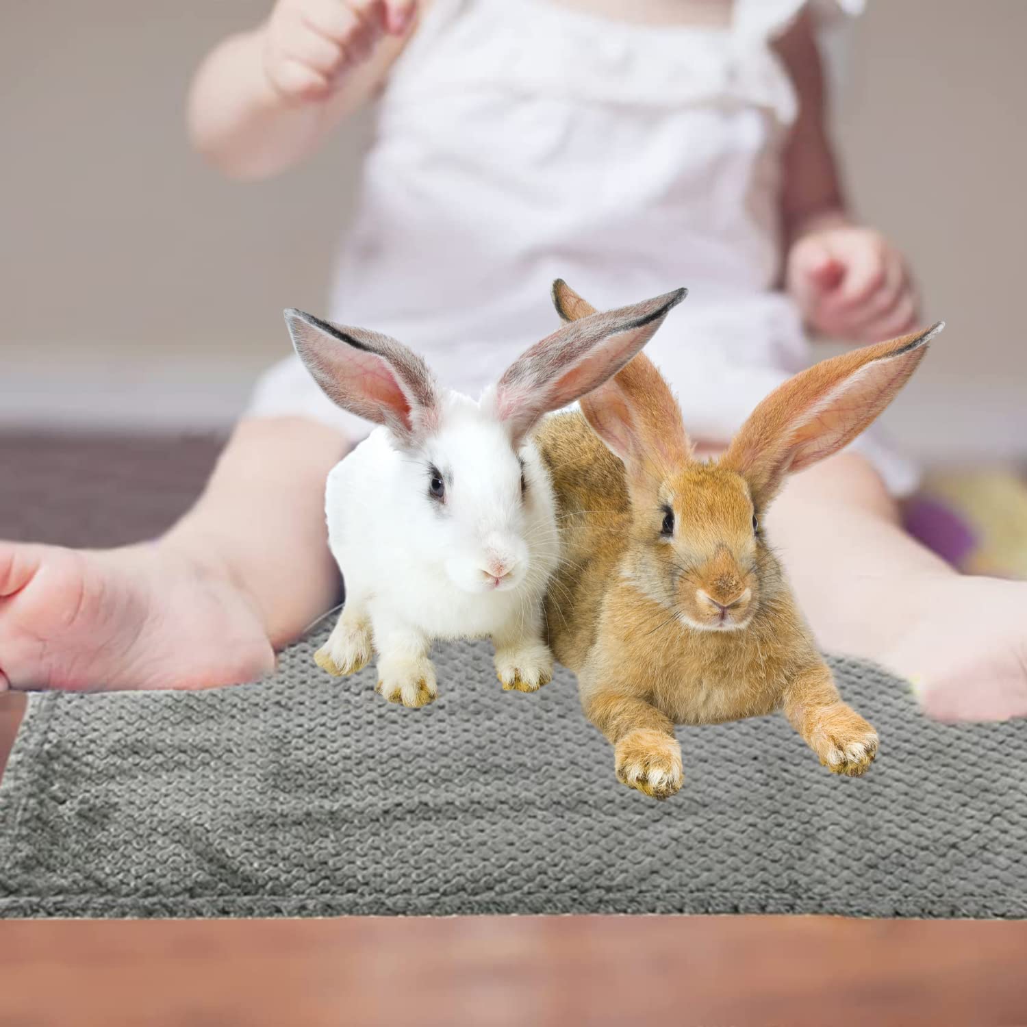 3 Pack Soft Flannel Fleece Blankets for Guinea Pigs, Hamsters, Rabbits & Small Pets - Cage Liners, Bedding Mats & Cozy Sleep Blankets for Chinchillas, Hedgehogs & Kittens (Medium Size) - Perfect for Cage Comfort, Pet Naps & Small Animal Grooming