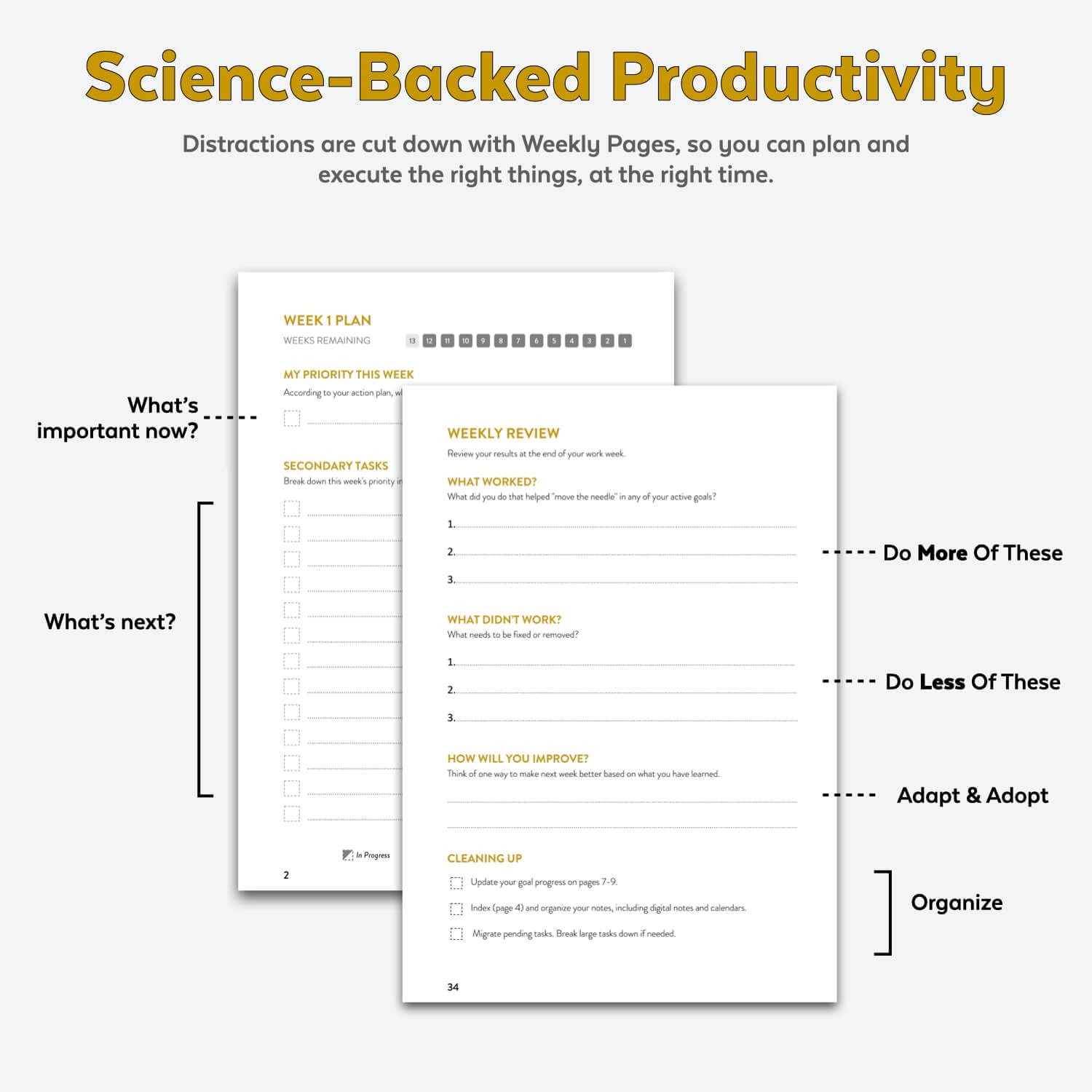 2025 13-Week Undated Planner - Productivity Tracker & Time Management Organizer for Adults, 5.25