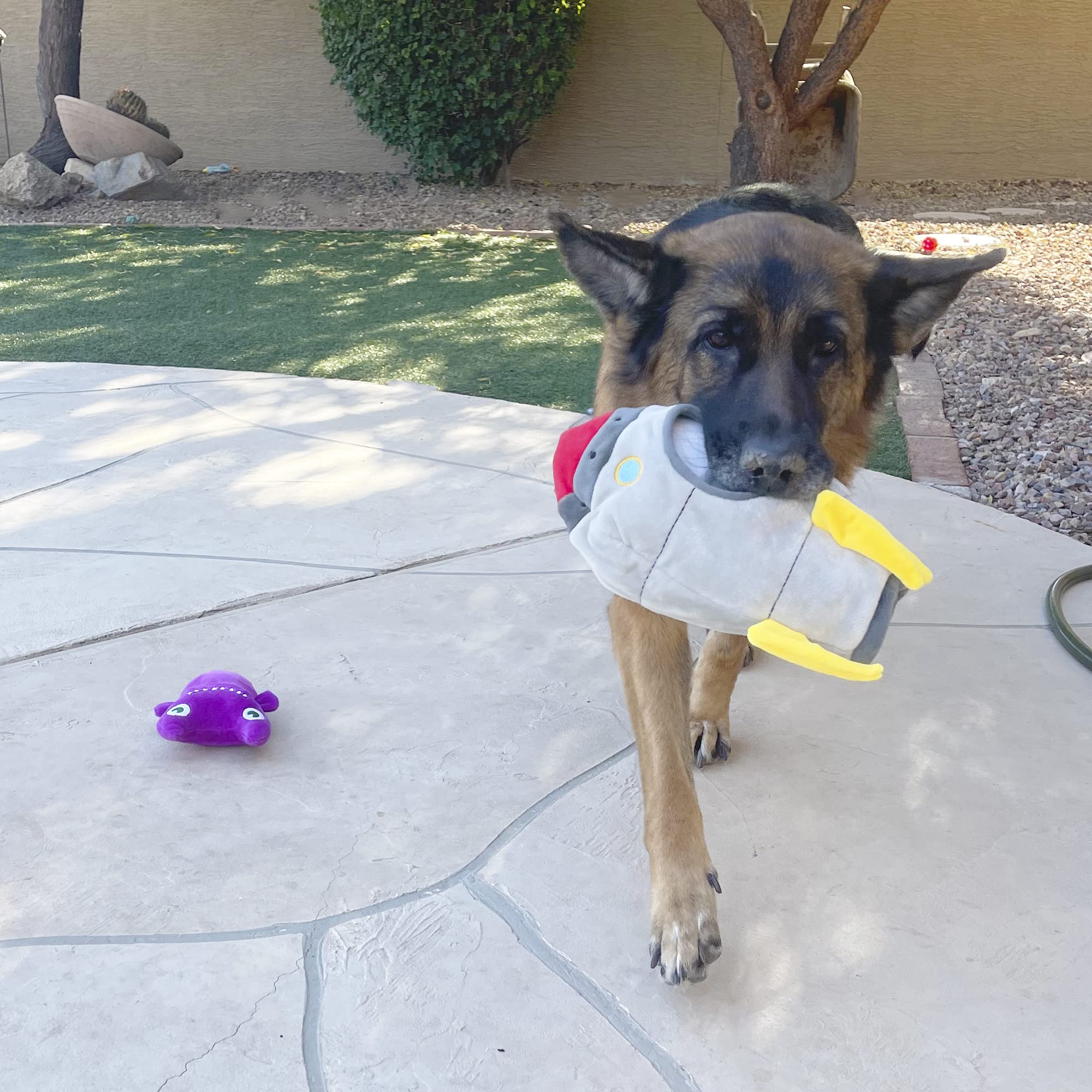 Indestructible Dog Chew Toys – 6 Pack Durable Squeaky Spaceship Toys for Aggressive Chewers with Hide & Seek Liner – Perfect for Playtime, Training & Interactive Fun