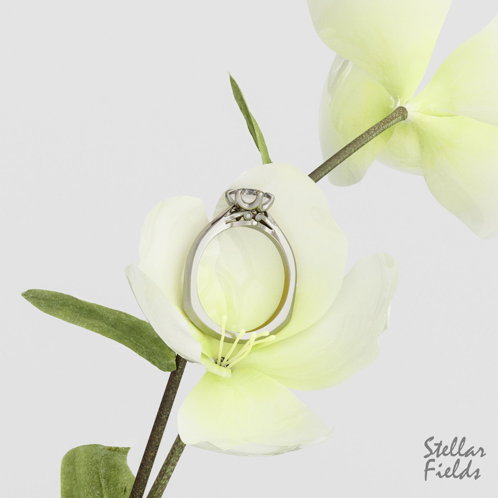 Lab Grown Diamond Solitaire Engagement Ring - 6 Prong Isabella Ring for Women | Classic Wedding, Proposal & Anniversary Jewelry Gift