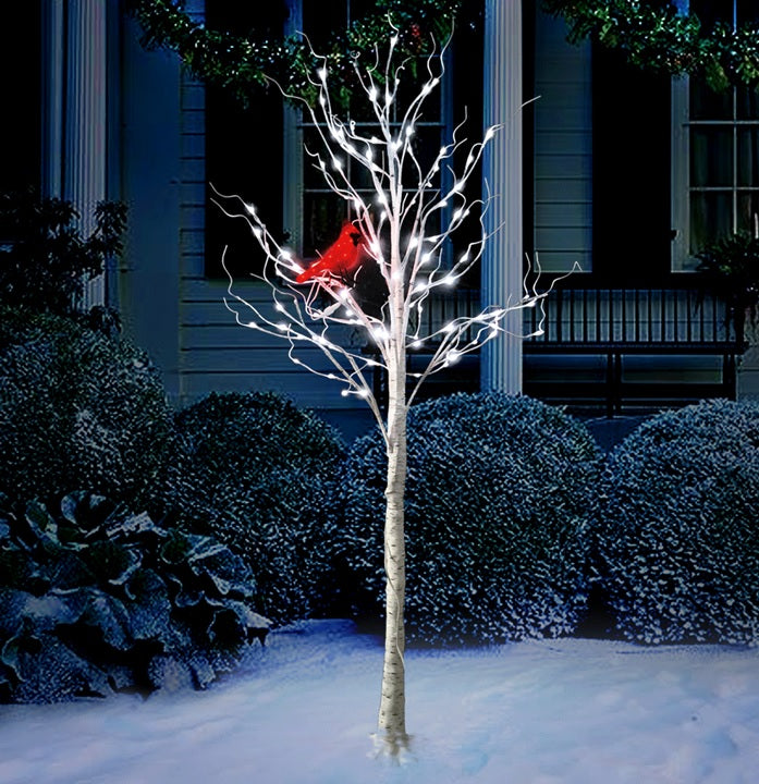 6' Twinkling LED Birch Tree with Warm White Lights & Red Cardinal - Perfect for Christmas Decor, Holiday Party, and Winter Home Decoration