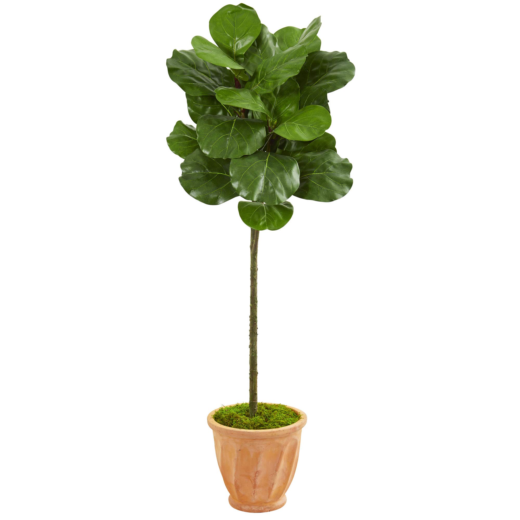 Nearly Natural 57-inch Faux Fiddle Leaf Fig Tree in Terra Cotta Planter - Realistic Artificial Silk Plant for Home, Office Decor - Perfect for Living Room, Bedroom & Indoor Spaces