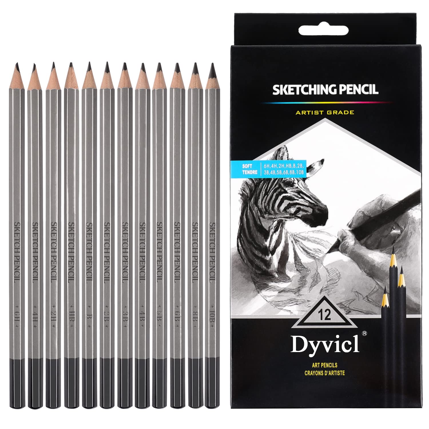 Dyvicl Professional 12-Piece Sketching Pencil Set (10B-6H) - Graphite Drawing Pencils for Artists, Beginners & Sketching - Ideal for Portraits, Shading, Sketching & Art Projects