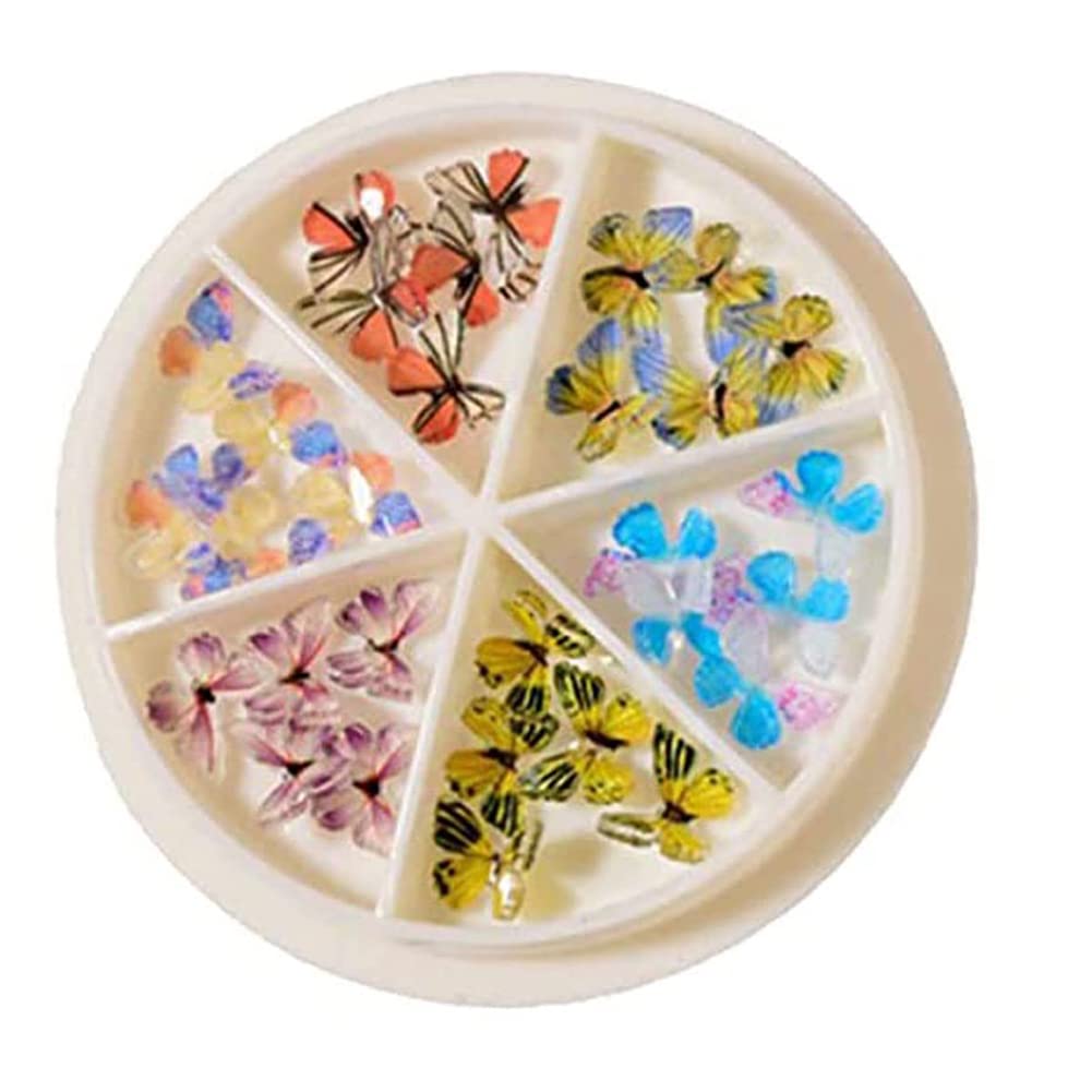 3D Butterfly Nail Charms for Acrylic Nails - DIY Nail Art Jewelry Set for Party & Wedding