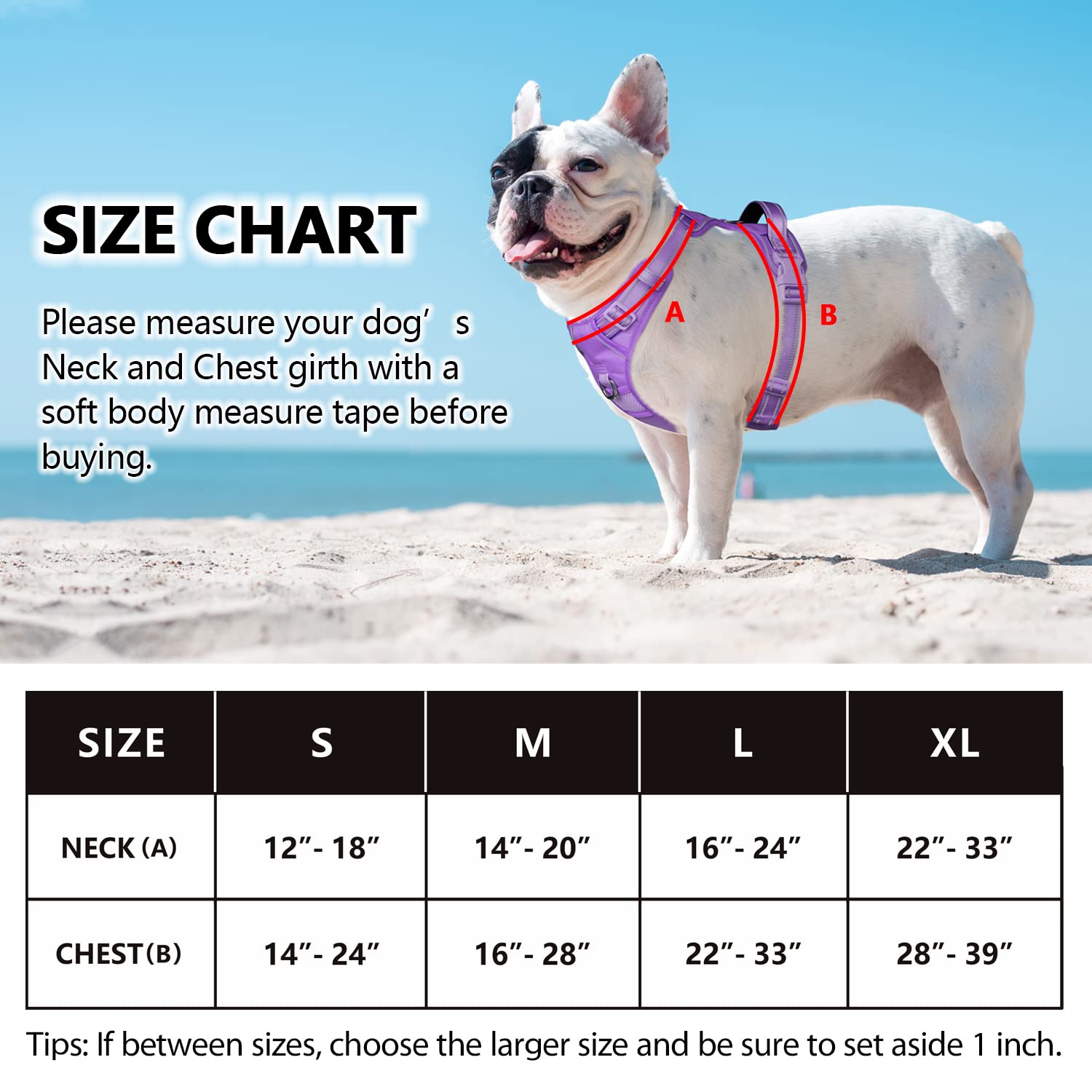 PoyPet No Pull Dog Harness - Reflective Adjustable Pet Vest with Padded Handle for Small Medium Large Dogs - Light Purple Matching Trim - Perfect for Walking, Running & Nighttime Safety