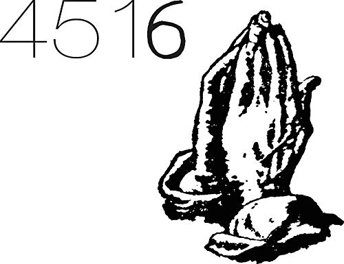SDT 4516 Drake Window Truck Car Vinyl Bumper Sticker Decal 5'' x 4'' - Waterproof & Durable Decal for Cars, Trucks, Laptops, Windows - Perfect for Personalization & Fan Showcase
