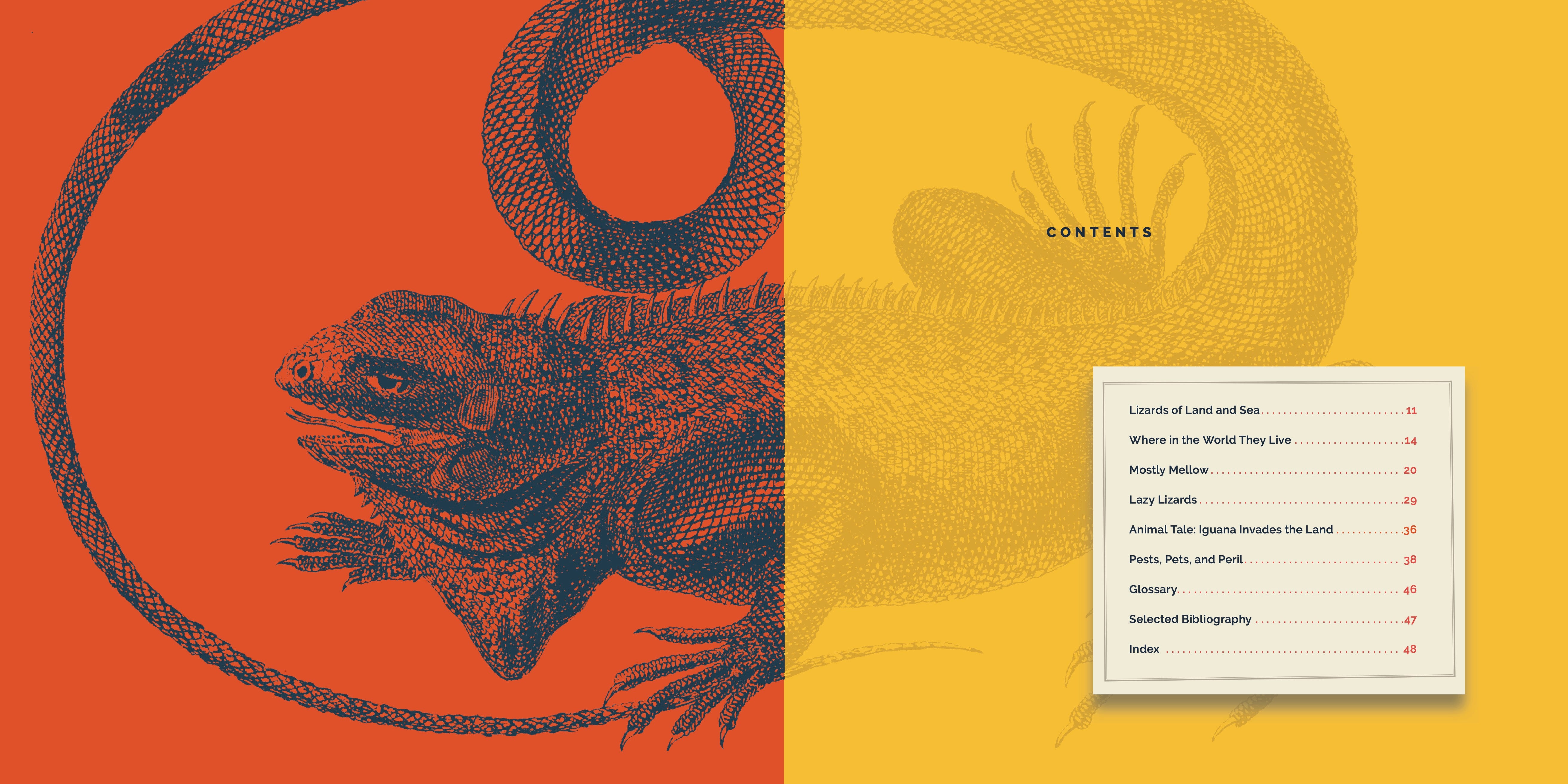 Iguanas - 9781640267886 - Reptile Pet Care Book for Iguana Owners - Perfect for Home & Classroom Learning
