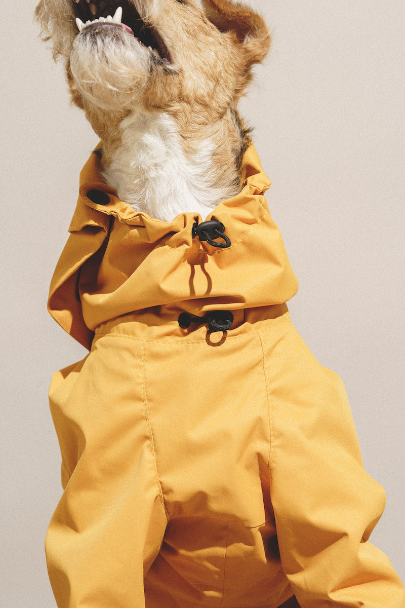 Adorable Yellow Pony Jumpsuit for Kids - Soft & Comfortable Baby Romper for Playtime, Birthday Parties & Photo Shoots