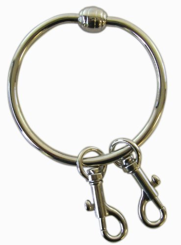 Durable Zinc Alloy & Steel Keychain by Ganz - Perfect for Keys, Backpacks, and Gift Giving (Toy Accessory)