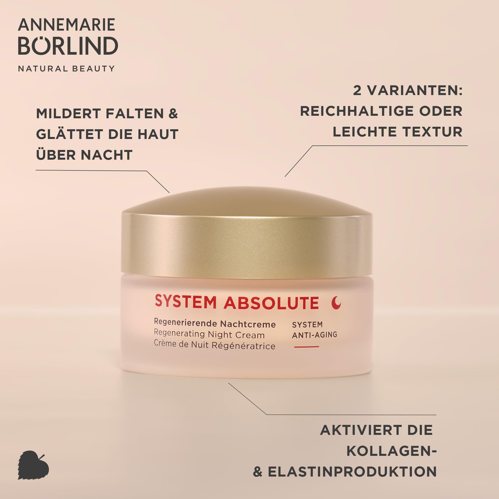 ANNEMARIE BÖRLIND SYSTEM ABSOLUTE Regenerating Night Cream - Anti-Aging Retinol Moisturizer with Aloe Vera, Algae & Meadowfoam Extracts - Deep Hydration & Wrinkle Reduction - 1.69 Fl Oz - Perfect for Nighttime Skincare Routine & Mature Skin Care