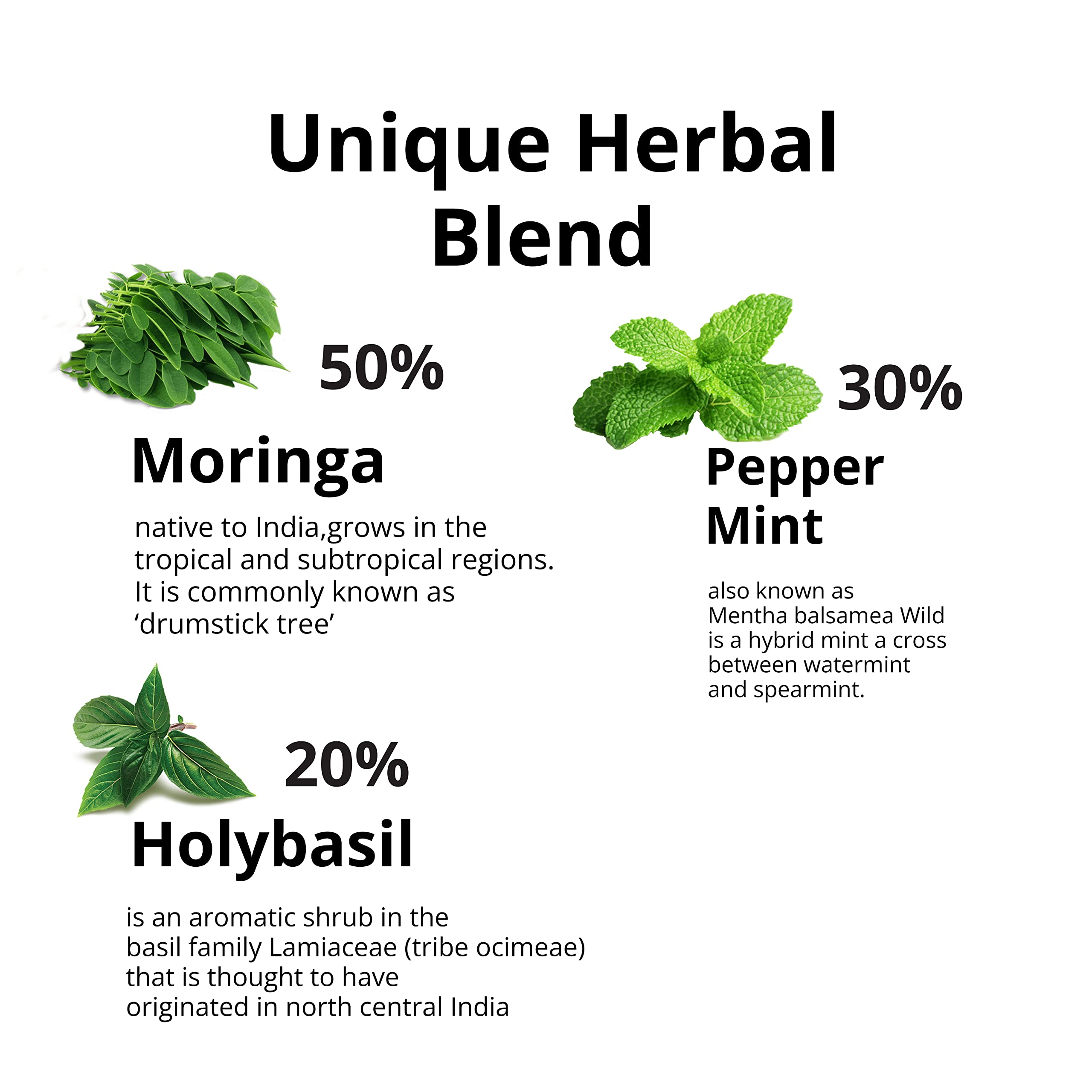 Organic Moringa Tea Bags - 40 Count | Caffeine-Free Herbal Tea Blend with Dried Moringa Leaves, Peppermint & Holy Basil | Natural Immune Support | Perfect for Relaxation, Detox & Wellness Routine