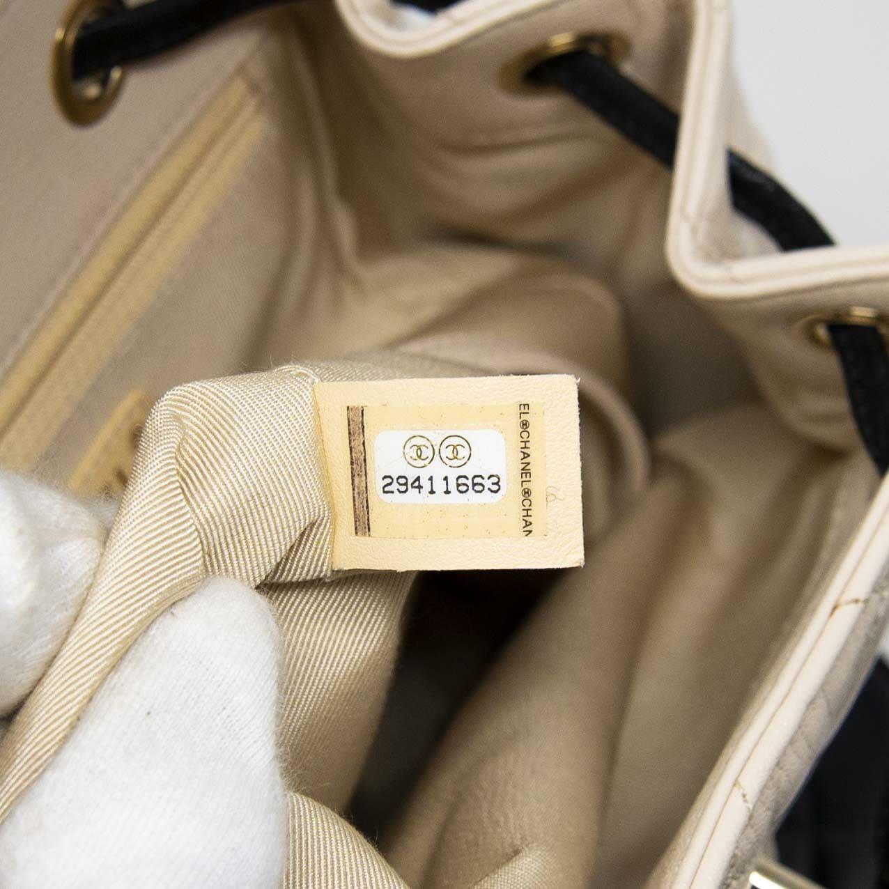 Chanel Tricolor Medium Duma Backpack - Luxury Designer Backpack for Women, Fashionable Everyday Use & Travel Accessory