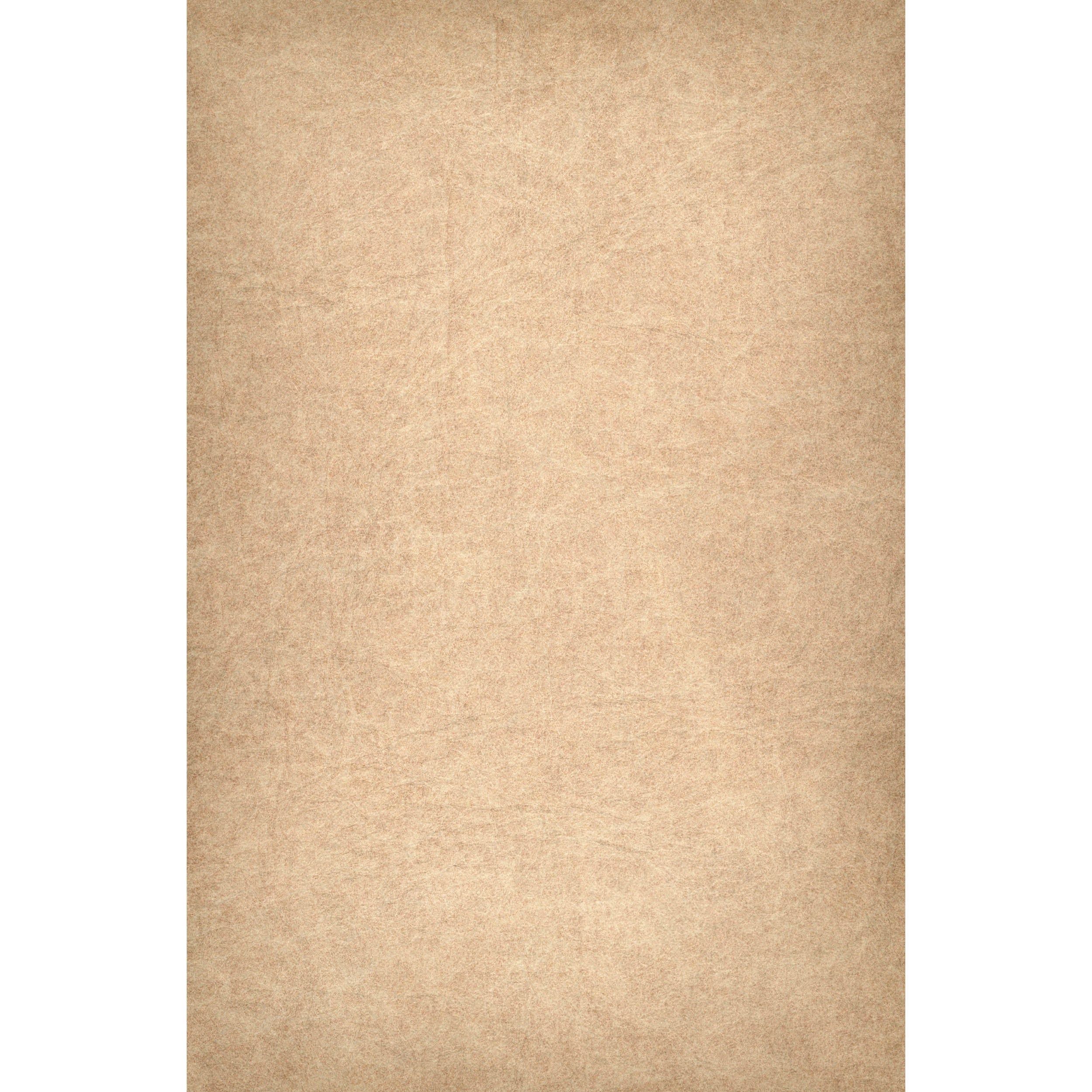 Premium C15 Caramel Fabric Skin for EasiFrame Portable Cyclorama System - Standard Frame Size - Perfect for Photography Backdrops & Video Studio Backgrounds