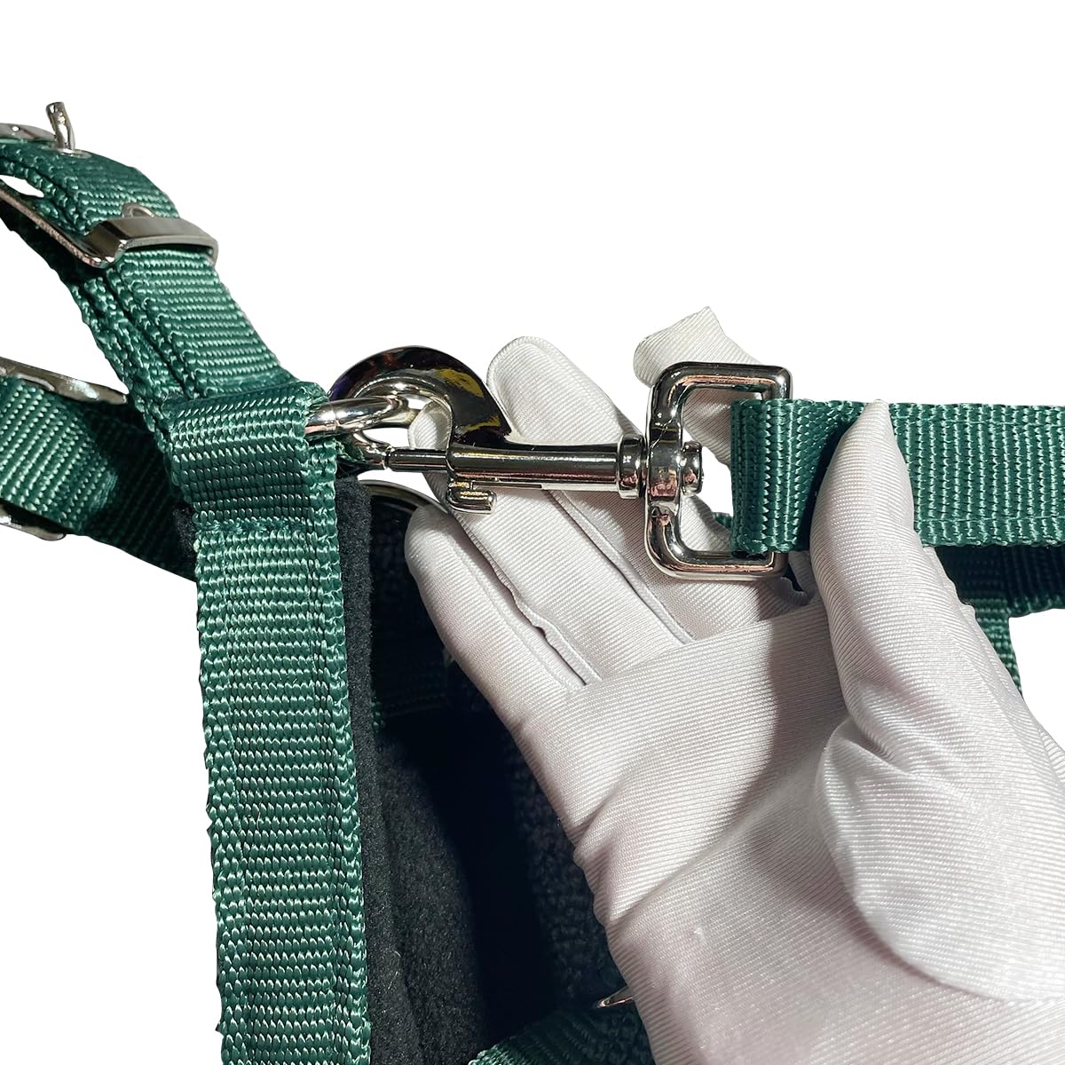 **WINTENT Padded Horse Halters with Nylon Lead Rope – Comfortable & Durable Equestrian Halter for Horses, Green (Small) – Perfect for Trail Riding, Training & Stable Use**