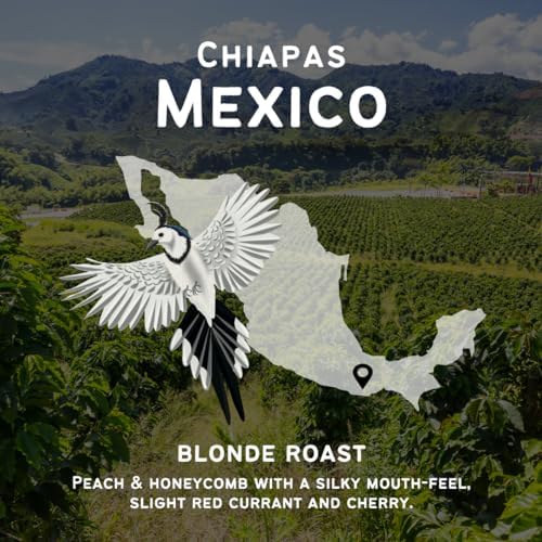 Canopy Point Coffee - Chiapas Mexico Light Roast Whole Bean Coffee - 5lb Bag | Premium Arabica Single Origin | Small Batch Air Roasted | Bold & Smooth Flavor | Perfect for Home Brewing, Office Use & Gifts