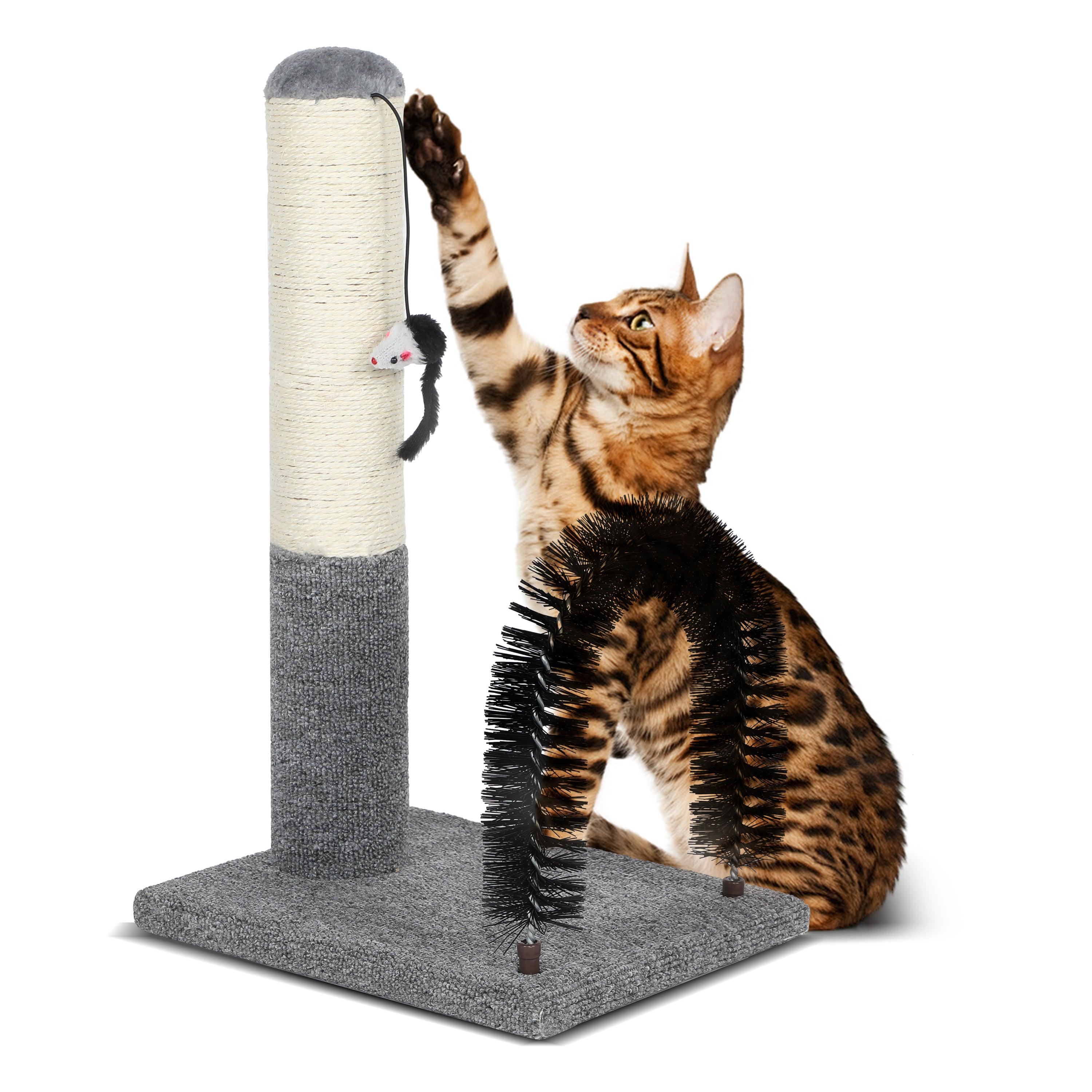 18 Inch Cat Scratching Post with Self-Grooming Brush & Dangling Toy - Multi-Level Cat Scratcher for Kittens & Adult Cats - Protects Furniture from Scratching - Perfect for Indoor Play & Grooming Sessions
