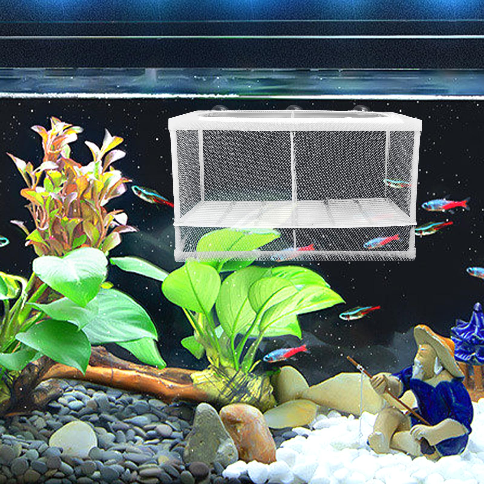 Balacoo 2Pcs Aquarium Breeding Box with Suction Cups - for Baby Fish, Shrimp & Guppy - Perfect for Hatchery & Tank Separation