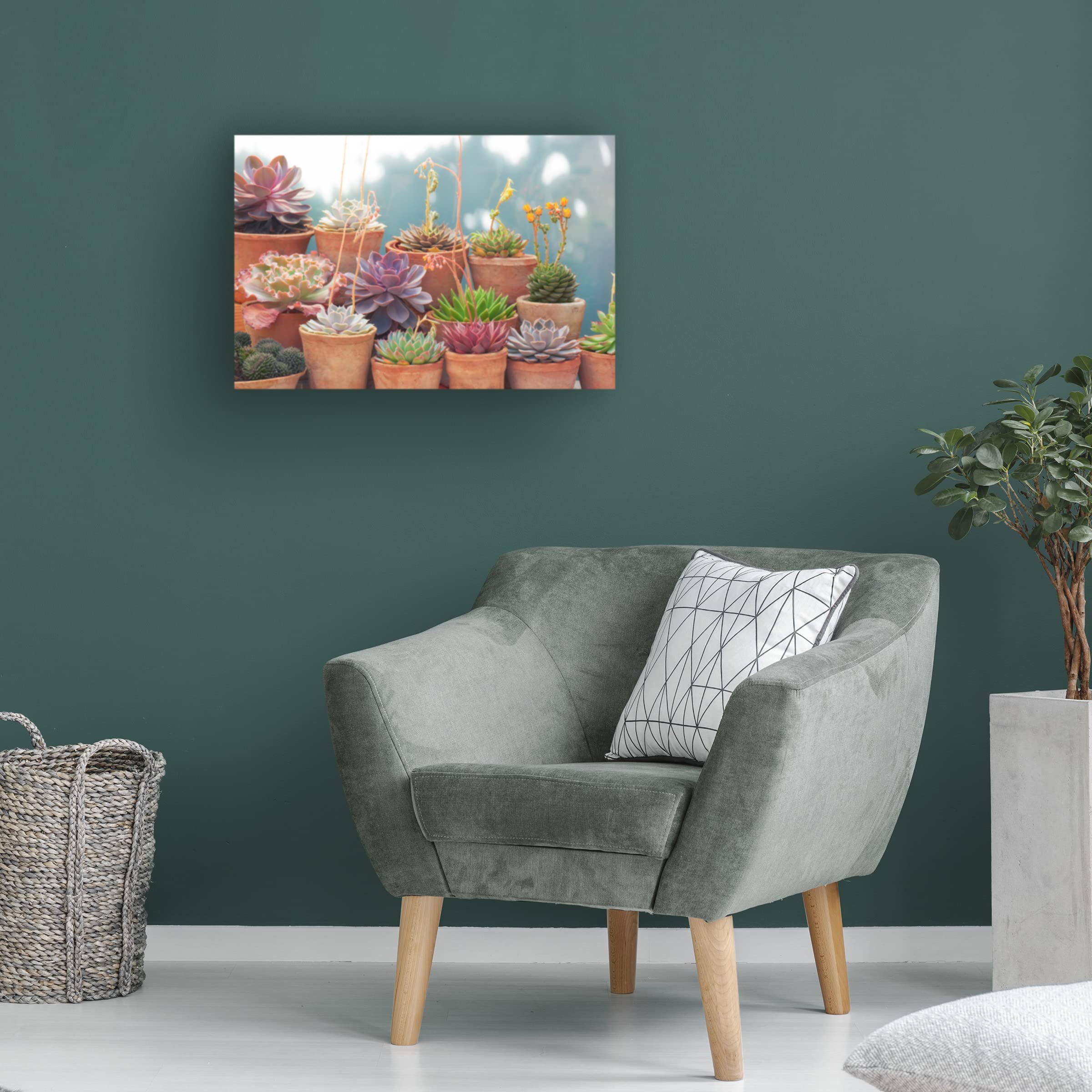 Trademark Fine Art 'Succulents in Terracotta Pots II' Canvas Wall Art by Cora Niele - Perfect for Home Decor, Office & Living Room