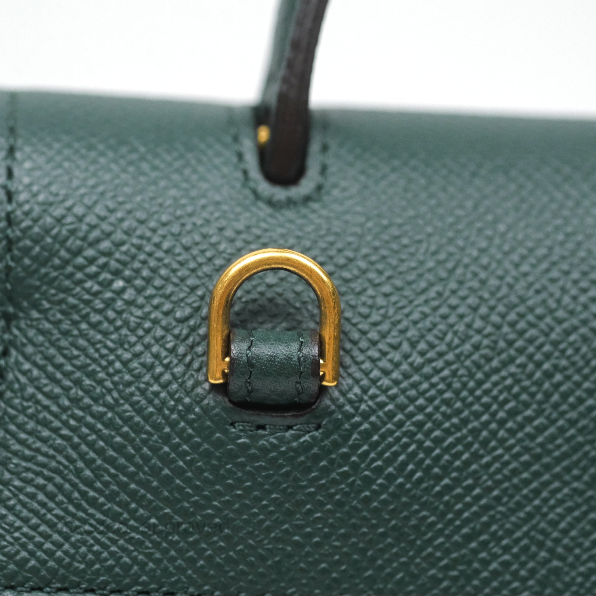 Celine Nano Belt Bag in Amazone Grained Calfskin with Gold Hardware - Perfect for Everyday Use, Work & Travel