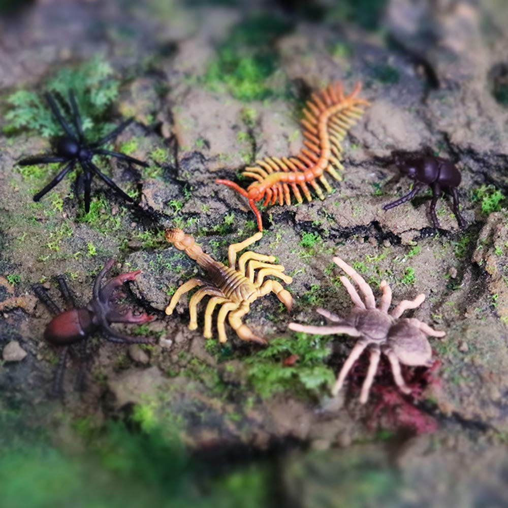 12 PCS Realistic Plastic Insect Figures - Wildlife Animal Bug Toys for Kids, Halloween Party Favors, School Projects & Educational Play | Perfect for Toddlers, Collectors & Science Learning