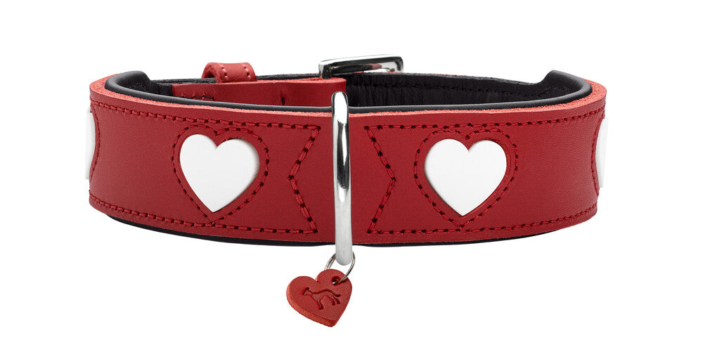 Alpen LOVE Dog Collars for Small & Medium Breeds - Adjustable, Durable & Stylish Pet Collar for Daily Walks & Outdoor Adventures