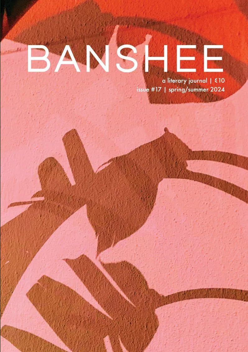 Banshee Issue 17 - Comic Book Series | Collectible Graphic Novel for Superhero Fans | Perfect for Reading, Collecting & Display