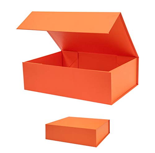 Orange-Pack of 2