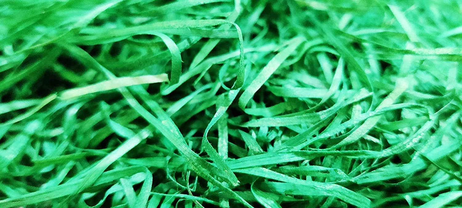Kuber Selection 80g Green Crinkle Confetti Shreds - Eco-Friendly Tissue Paper for Gift Wrapping, DIY Crafts, Basket Filler, Party & Wedding Decorations - Perfect for Easter, Christmas & Birthday Celebrations