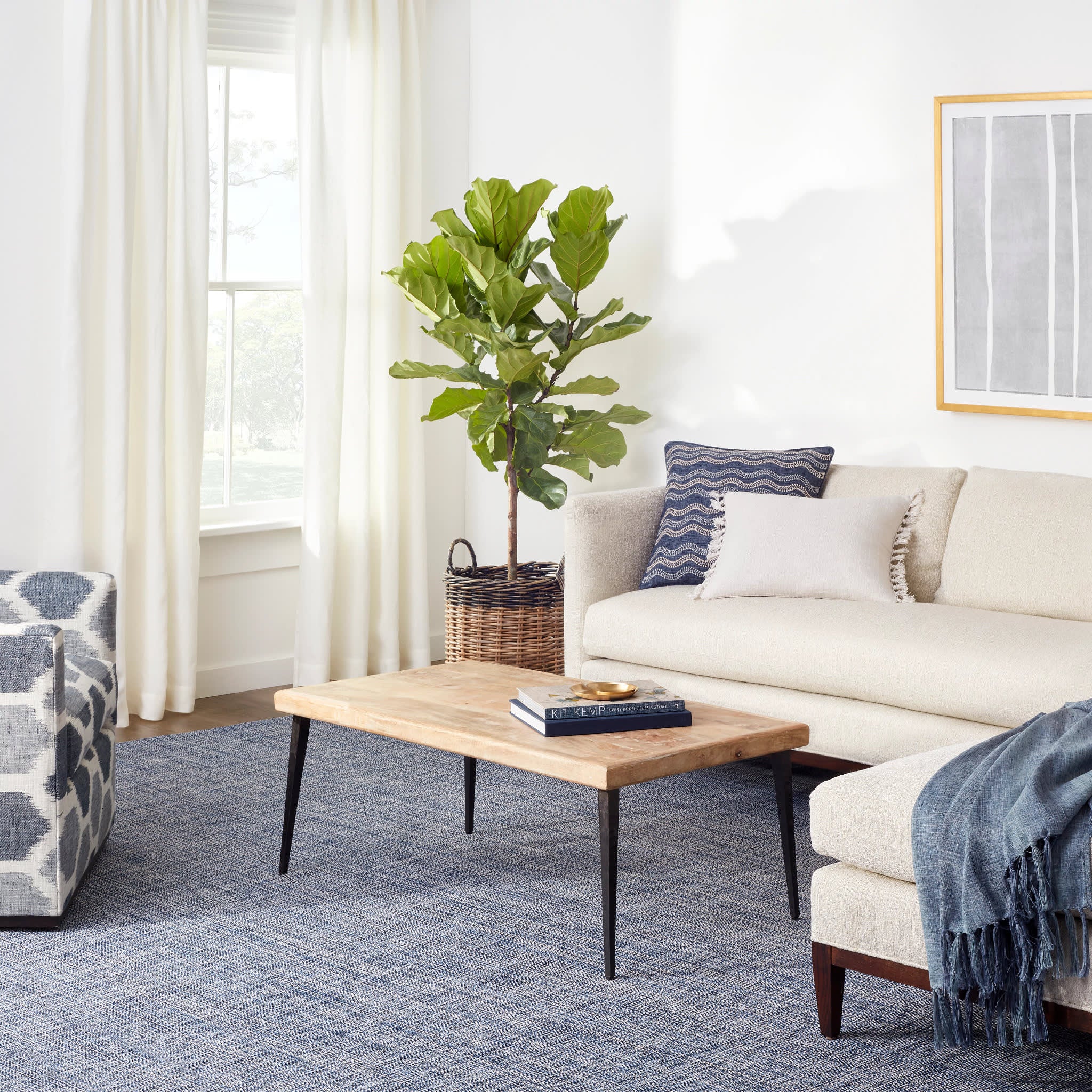 Handwoven Cotton Indoor Outdoor Area Rug - Soft & Durable Blue Boho Rug for Living Room, Bedroom, Patio Decor