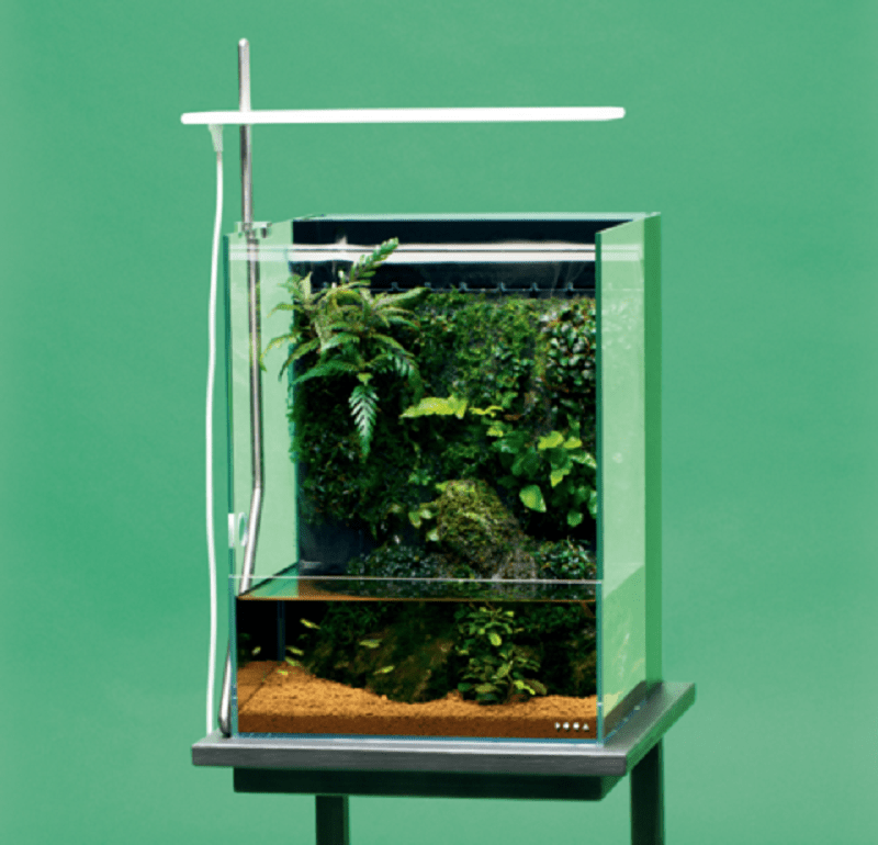 DOOA System TERRA 30 Mistflow SET (C Plug) - Premium Terrarium Humidifier for Indoor Plants, Moss & Miniature Gardens - Perfect for Home Decor, Office Zen Spaces & Reptile Habitats