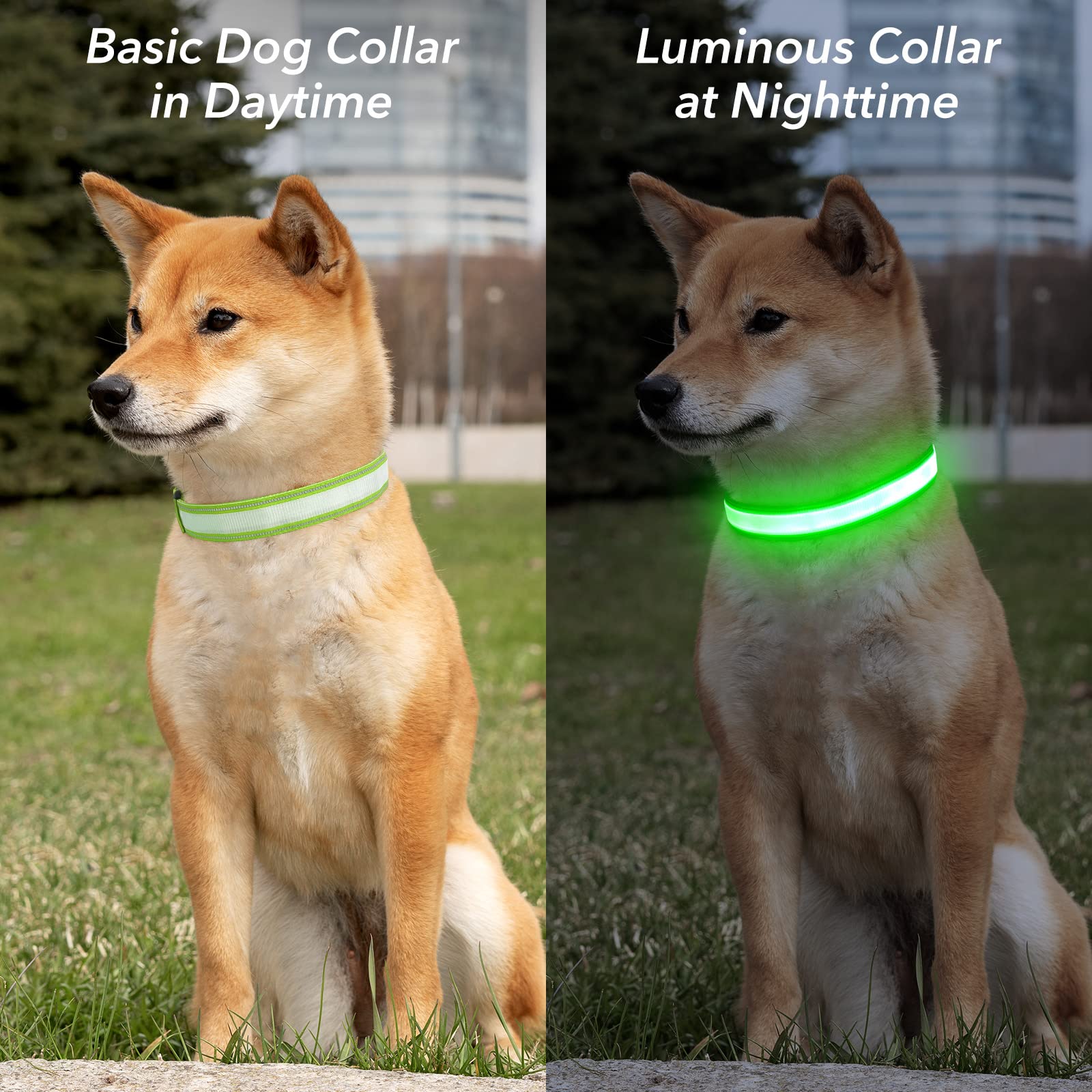 Visinite Rechargeable LED Dog Collar - Waterproof, Reflective Safety Collar with 3 Flashing Modes for Medium & Large Dogs | Green Glow Light for Night Walking, Jogging & Outdoor Adventures