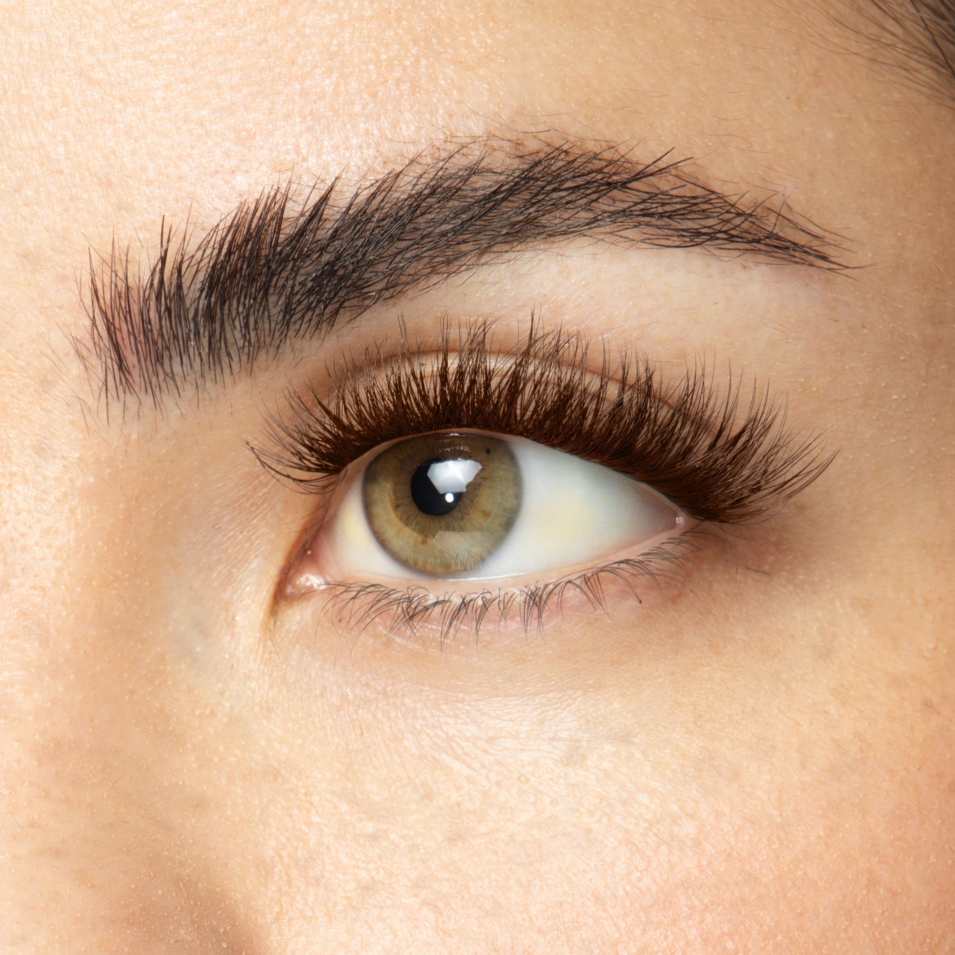 Velvet Gossamer® False Eyelashes with GripTex™ Technology - Natural Looking Lashes for Everyday Wear & Special Occasions