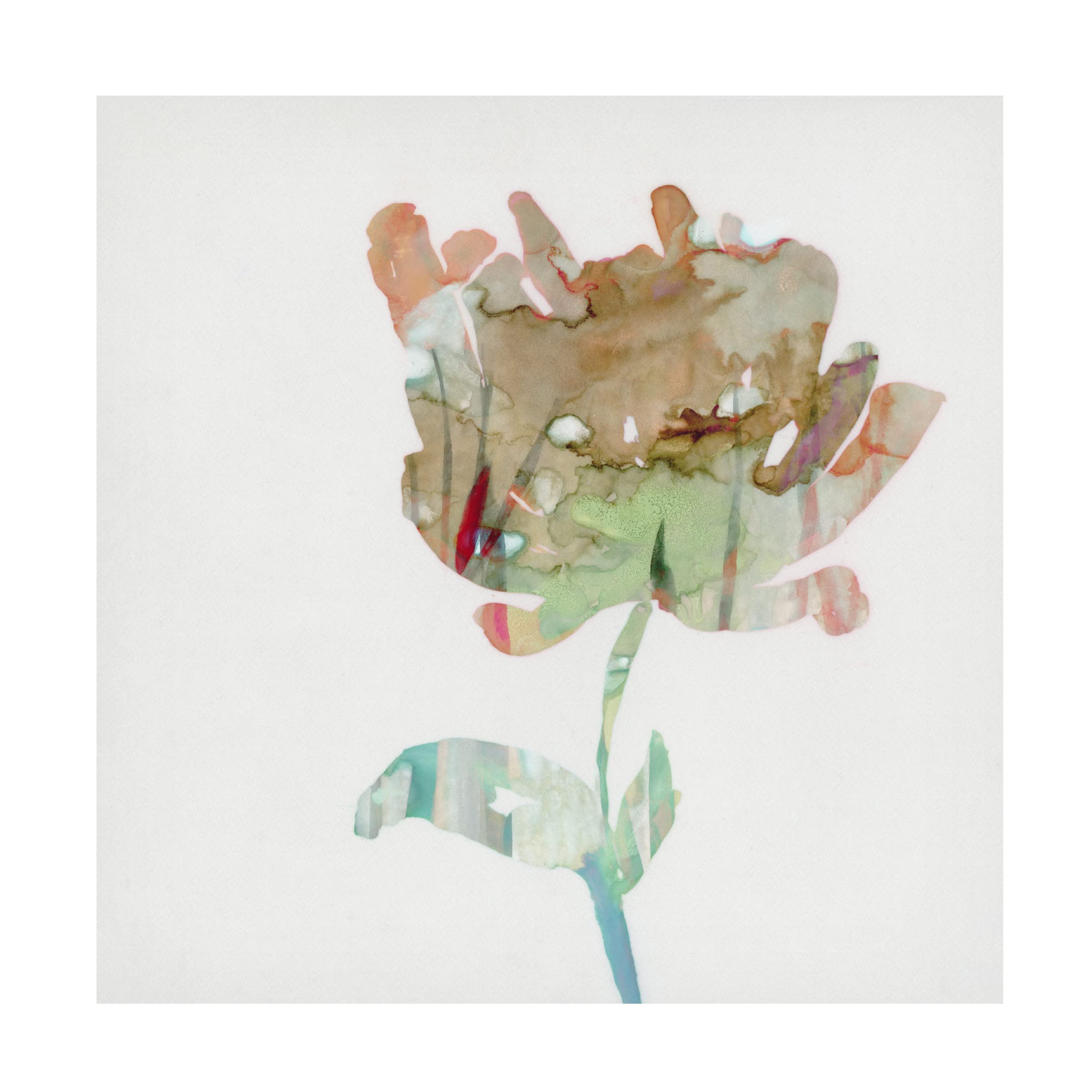 Trademark Fine Art 'Modern Bloom I' Canvas Wall Art by Stellar Design Studio - Contemporary Floral Home Decor for Living Room, Bedroom & Office