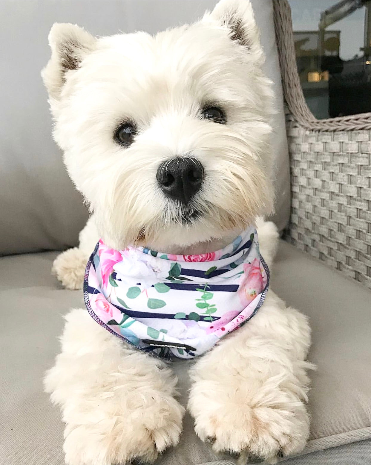 Floral Dog Bandana for Small & Medium Dogs - Cute & Stylish Pet Accessory for Outdoors, Walks & Photo Shoots