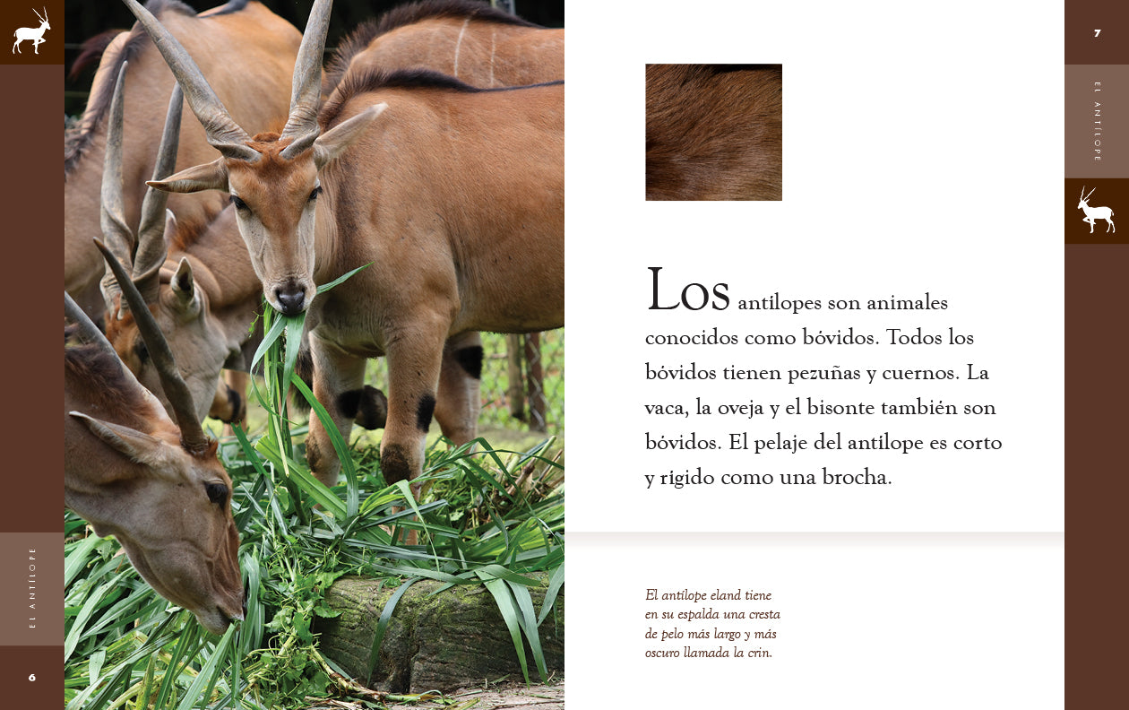 El Antilope 9781640266872 - Wildlife Animal Book for Kids & Adults - Perfect for Nature Lovers, Classroom Learning & Home Library Collections