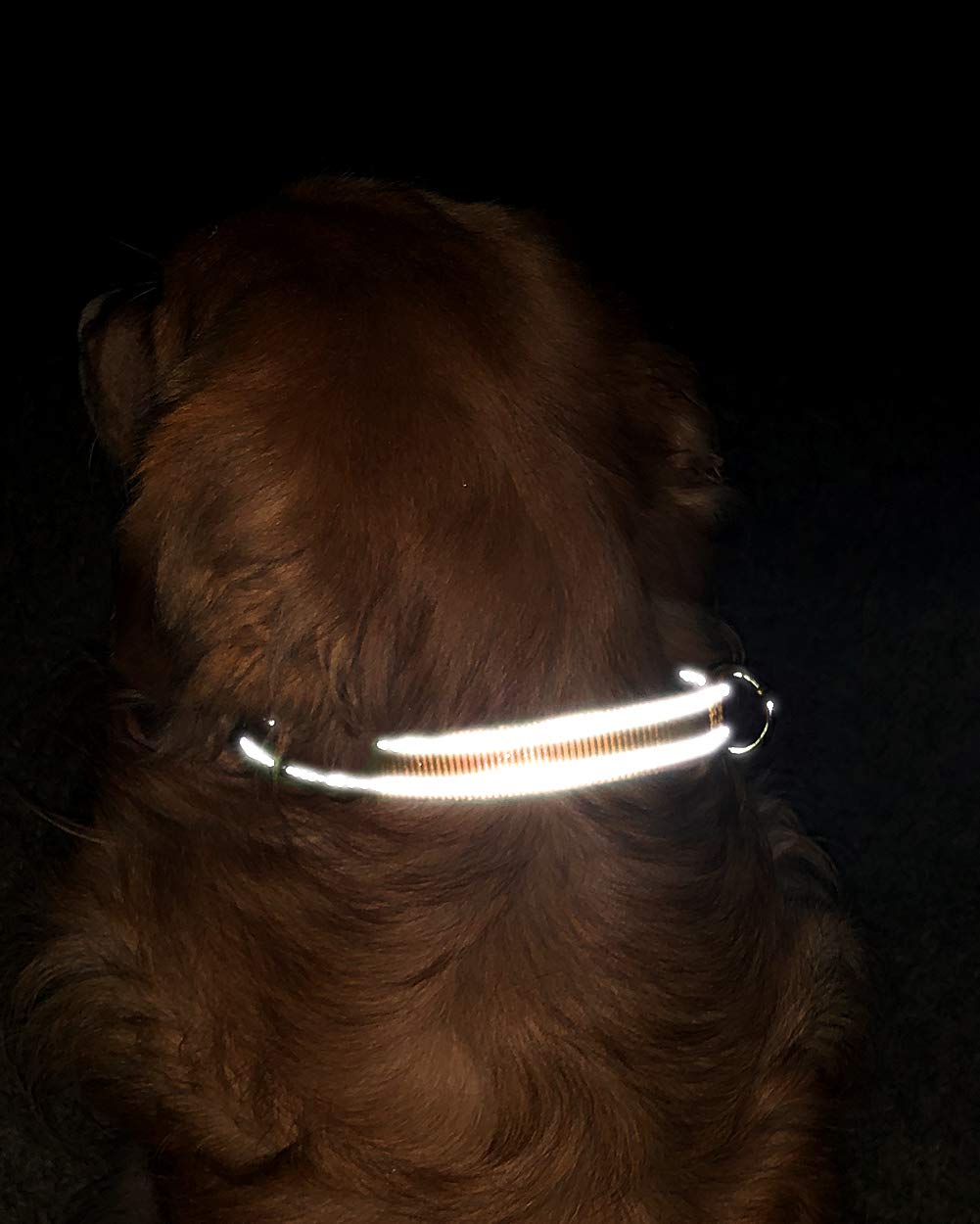 Personalized Dog Collar with Name Plate | Custom Engraved Reflective Pet Collar for Large Dogs | Khaki Color | Perfect for Night Walks & Outdoor Adventures