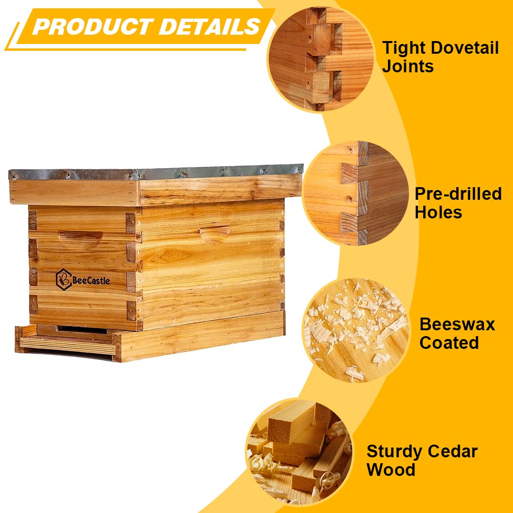 BeeCastle 5 Frame Bee Hive Nuc Box - 100% Beeswax Coated with Frames & Waxed Foundations | Starter Kit for Beekeeping, Honey Production & Pollination Gardens