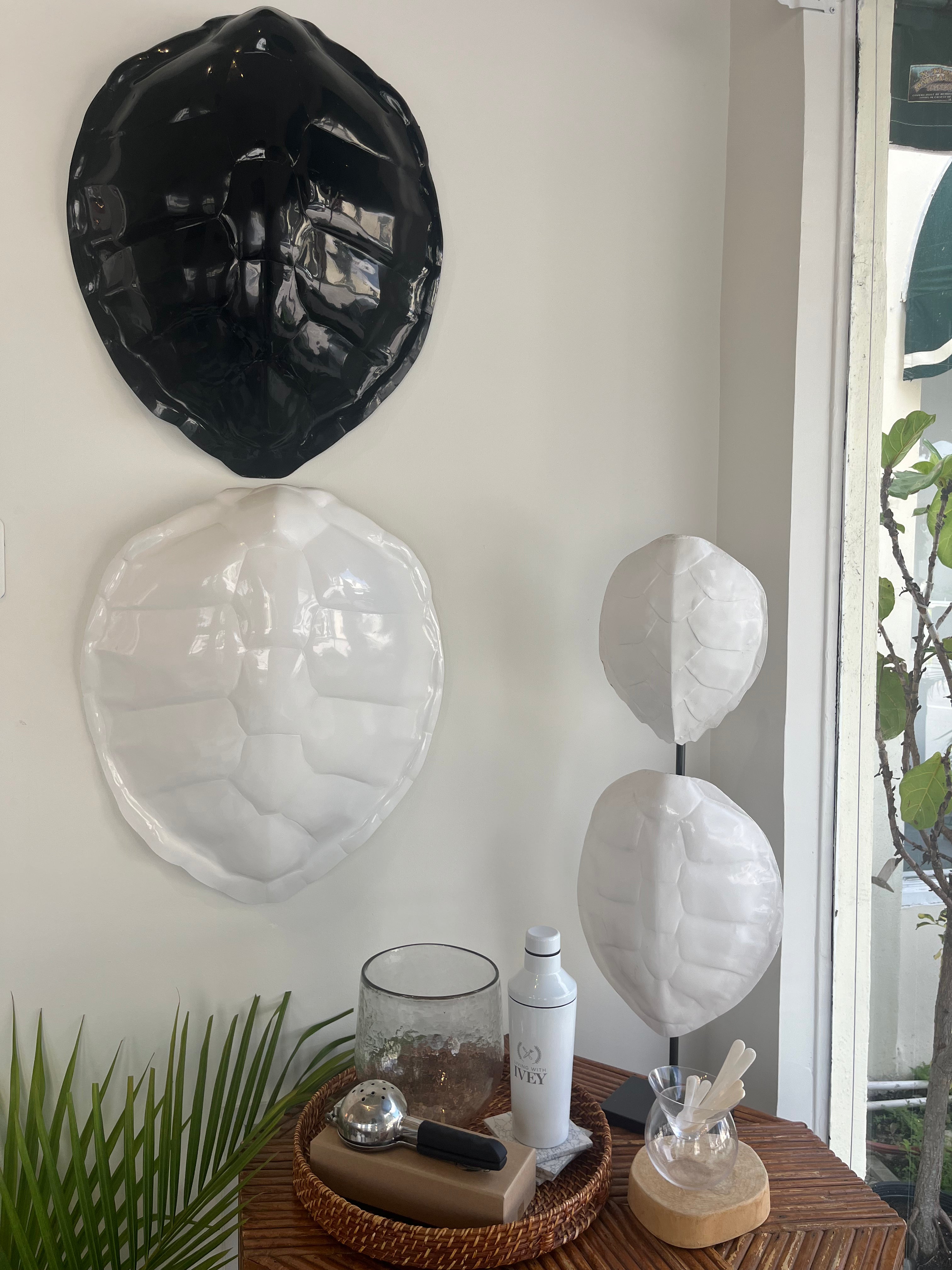 Small Tortoise Shell - Premium Realistic Turtle Shell for Home Decor, Costume, and Photography Props | Perfect for Halloween, Cosplay, and Themed Parties