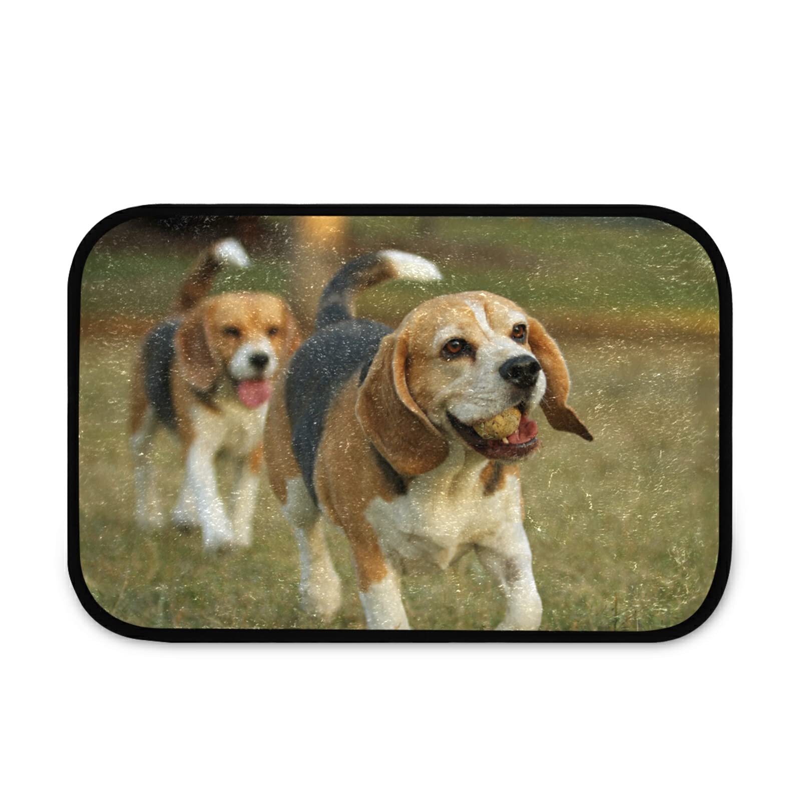 Susiyo Cute Funny Dogs Doormat - Absorbent Plush Indoor/Outdoor Entryway Rug 23.6x15.7 Inch - Non-Slip Welcome Mat for Front Door, Porch, Living Room, Bedroom, Office