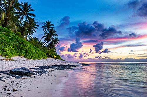 Tropical Beach N163