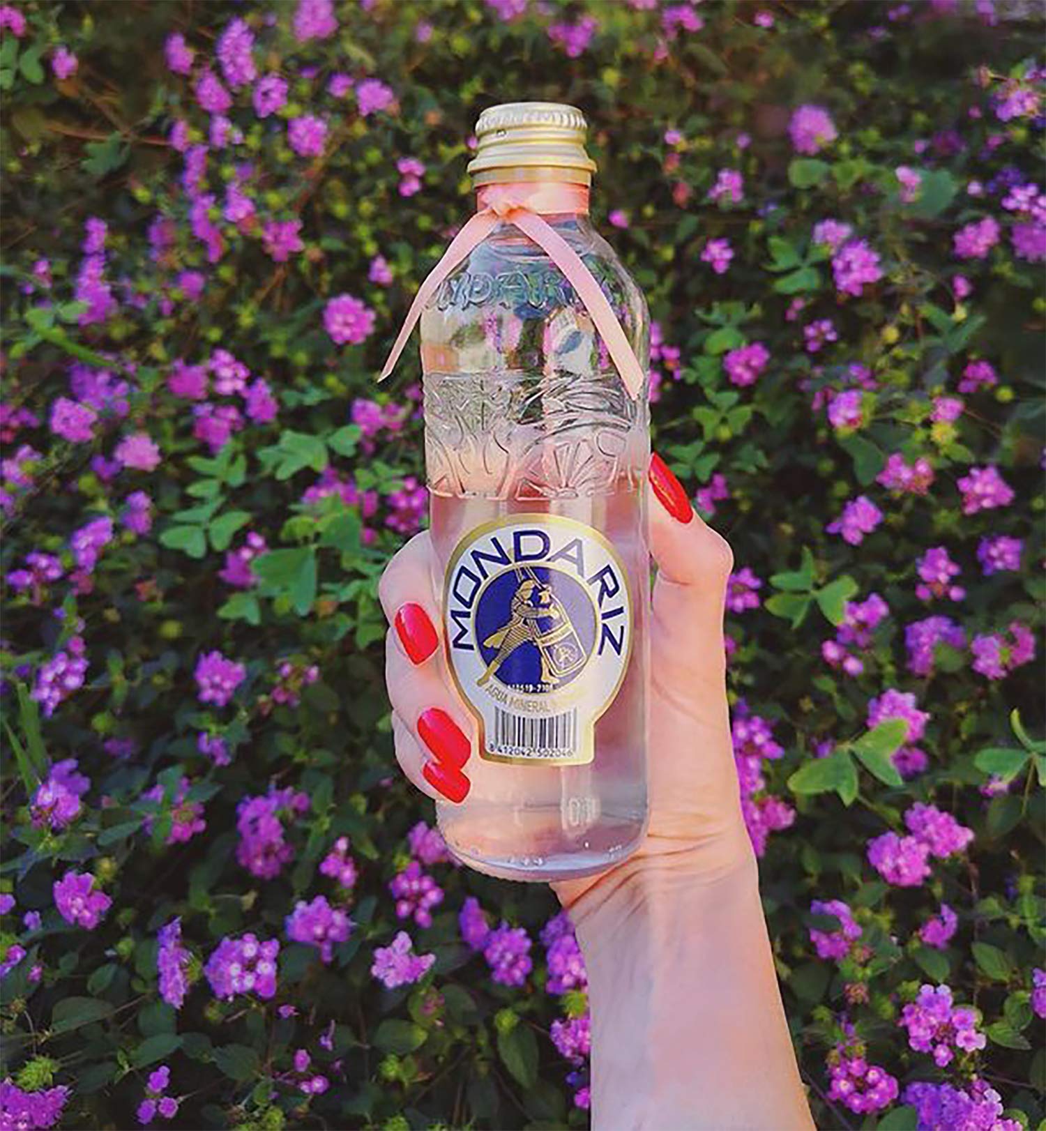 Mondariz Natural Still Mineral Water - 12 Glass Bottles (330mL Each) | Premium Spanish Spring Water for Dining, Gifts & Healthy Hydration